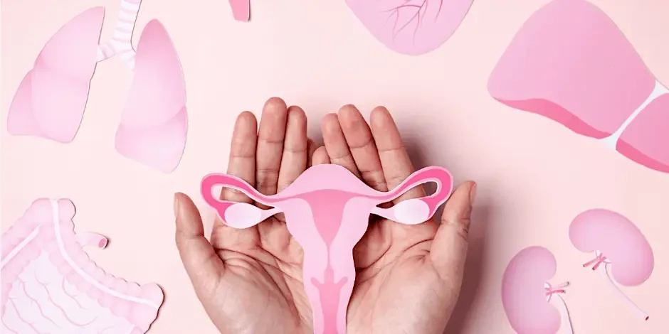 How To Interpret and Balance Female Hormones (Practitioner Only Event)