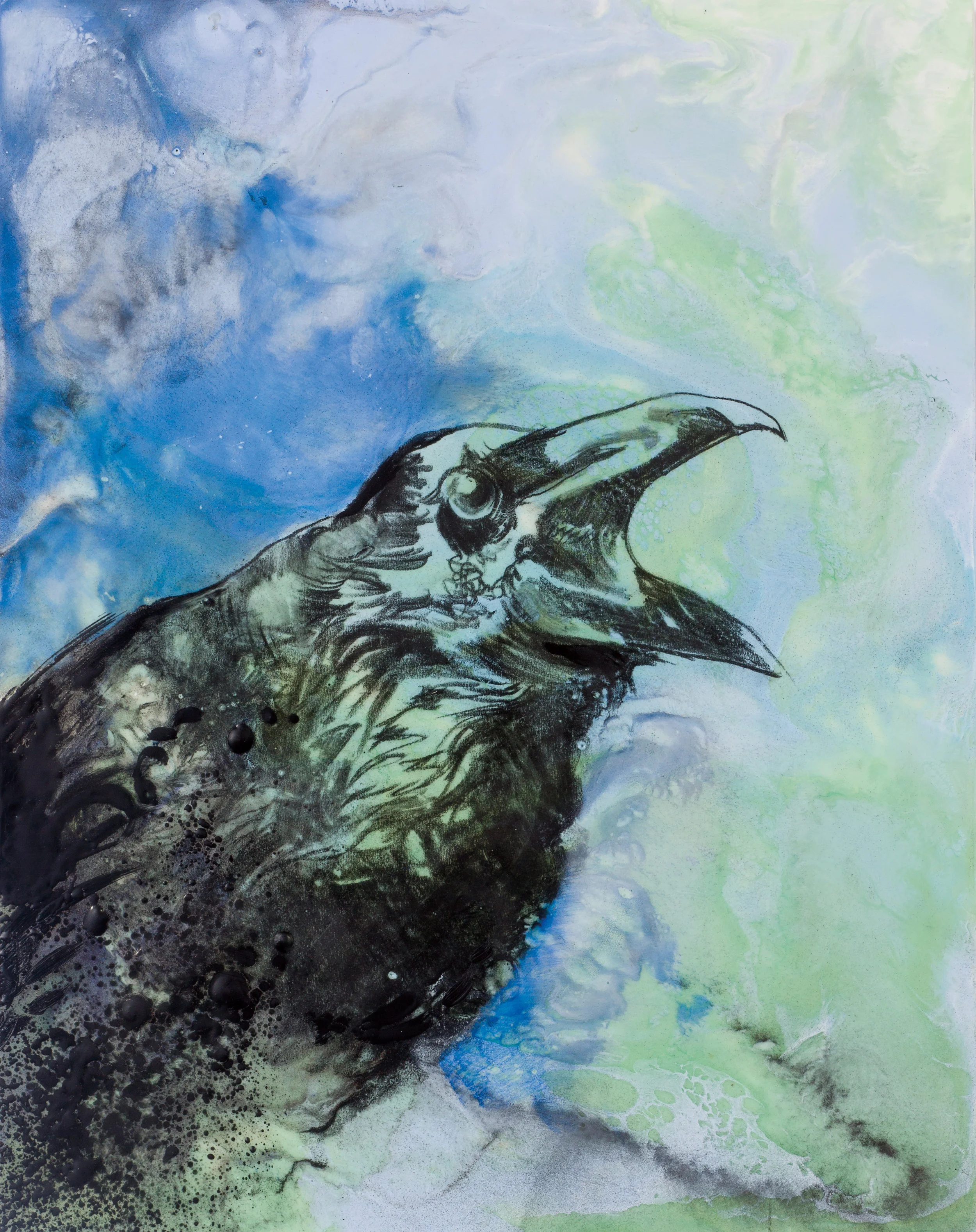Caw!