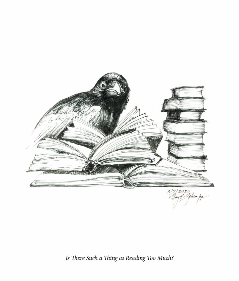 Quarantine 2020 _ Through a Crow's eye_Page_42.jpeg