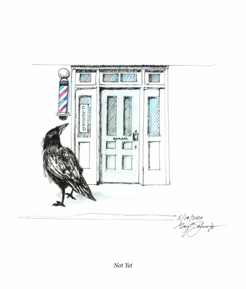 Quarantine 2020 _ Through a Crow's eye_Page_54.jpeg