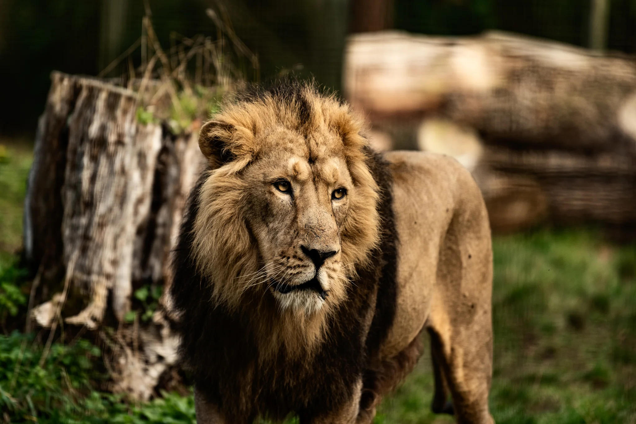 Cotswold Wildlife-12.jpg