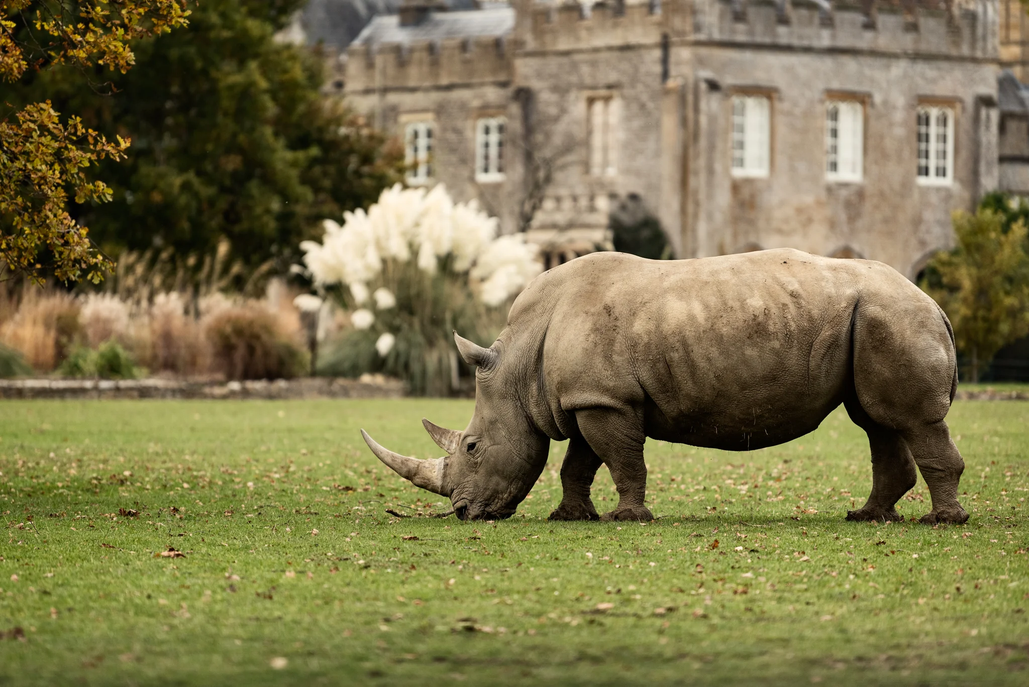 Cotswold Wildlife-17.jpg