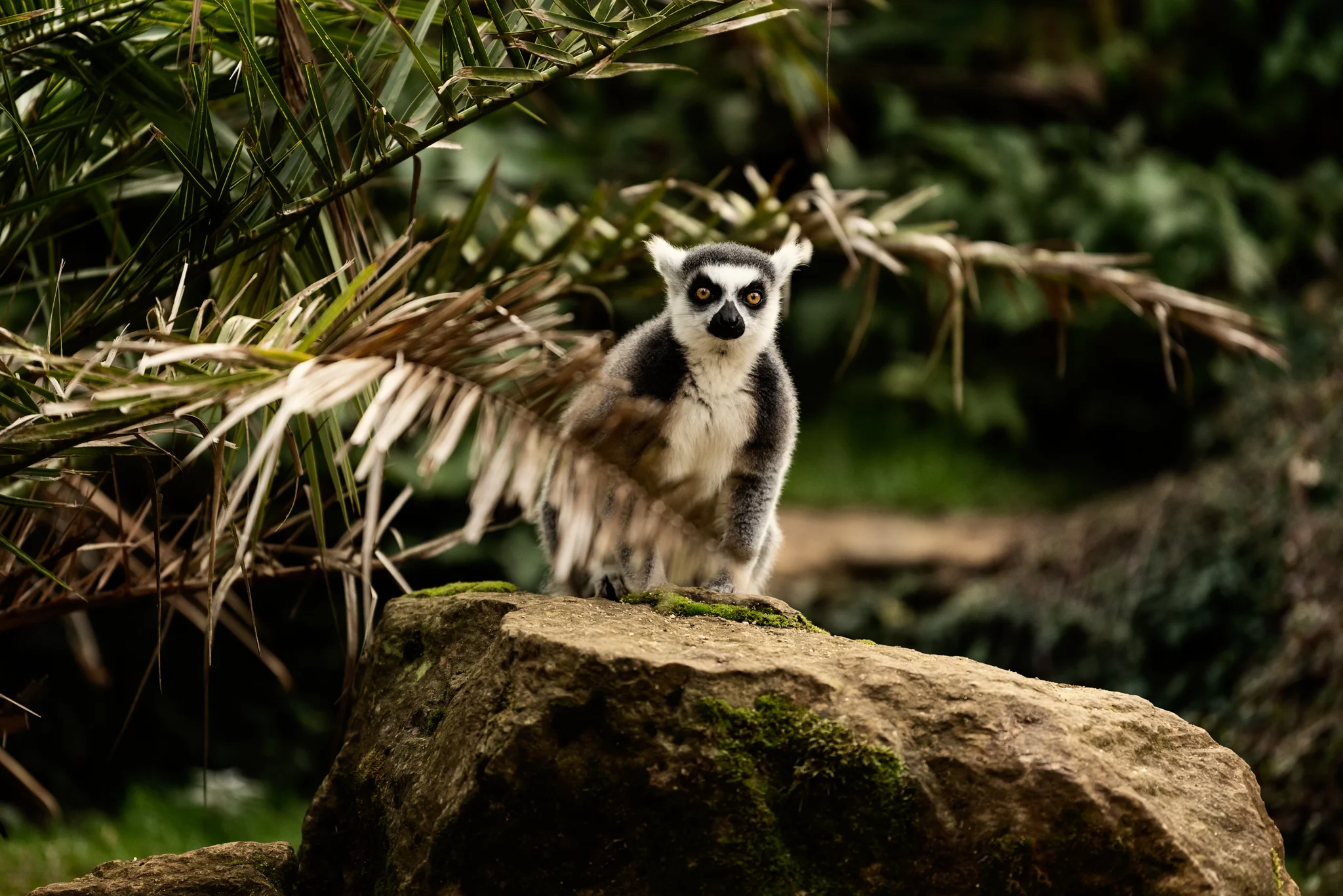 Cotswold Wildlife-30.jpg