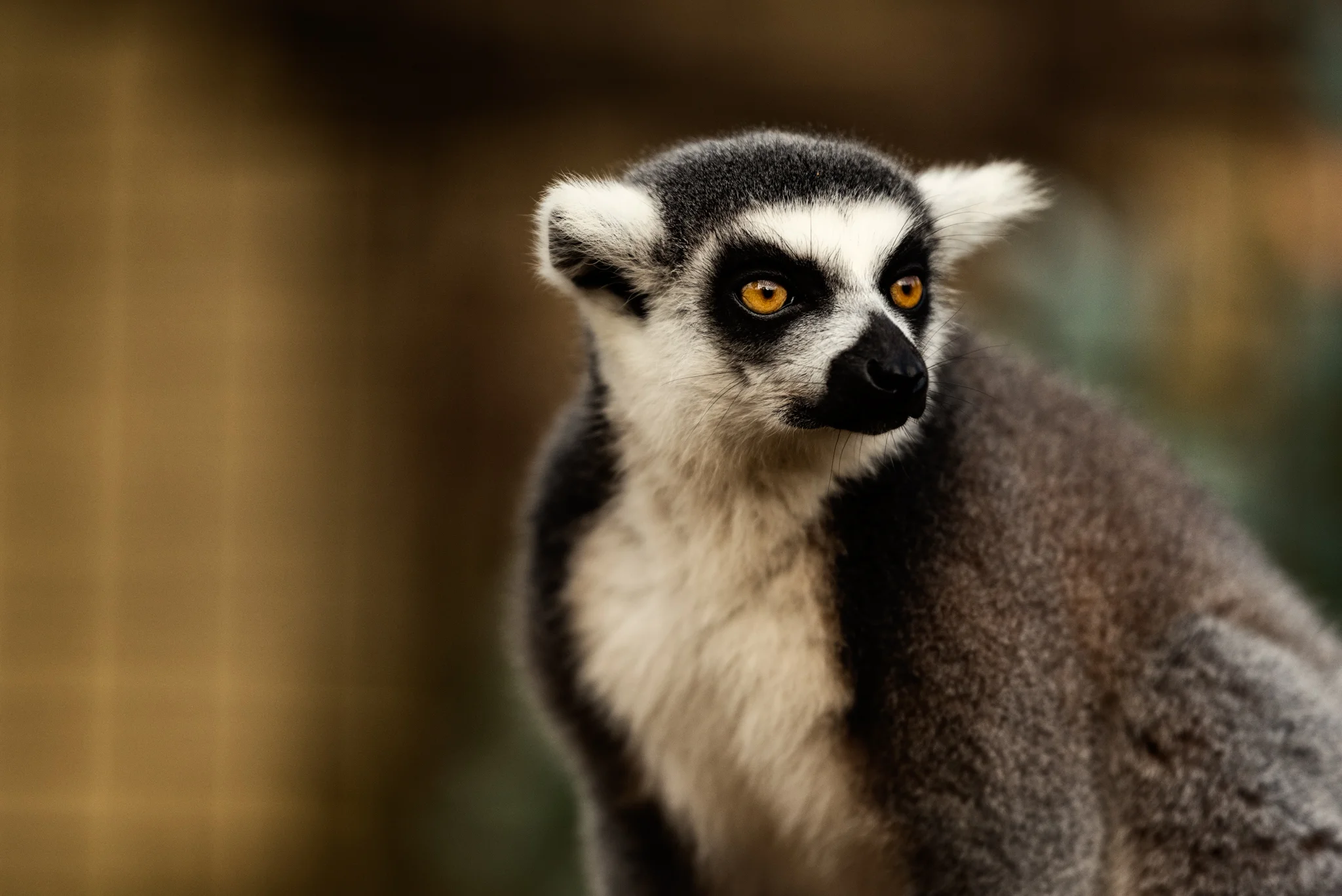 Cotswold Wildlife-31.jpg