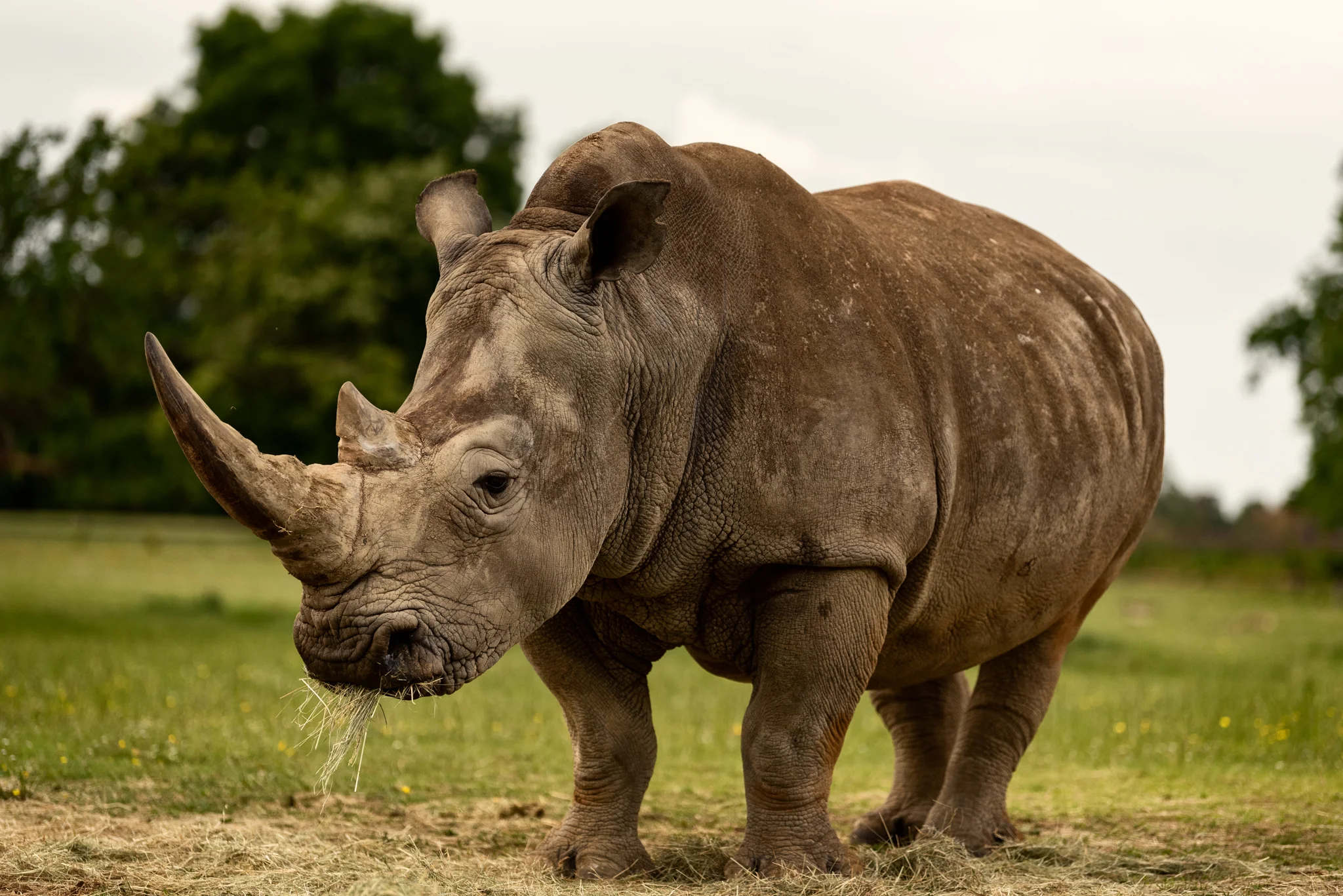 Cotswold Wildlife Park-18.jpg