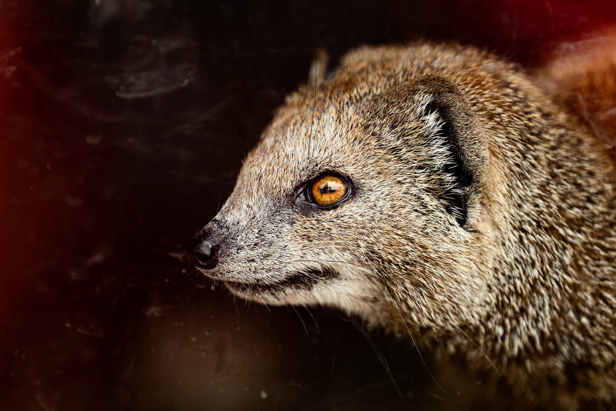 Skipton - Family Holiday-15.jpg