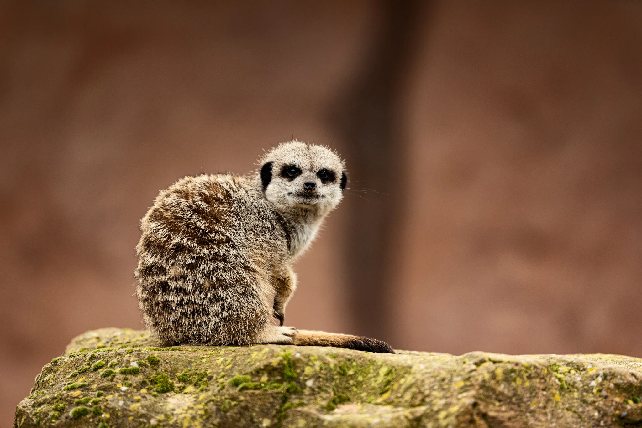 Skipton - Family Holiday-4.jpg