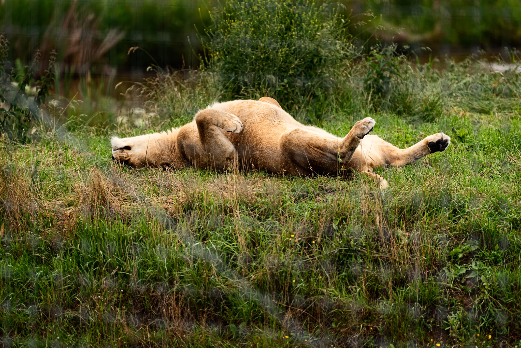 Skipton - Family Holiday-5.jpg