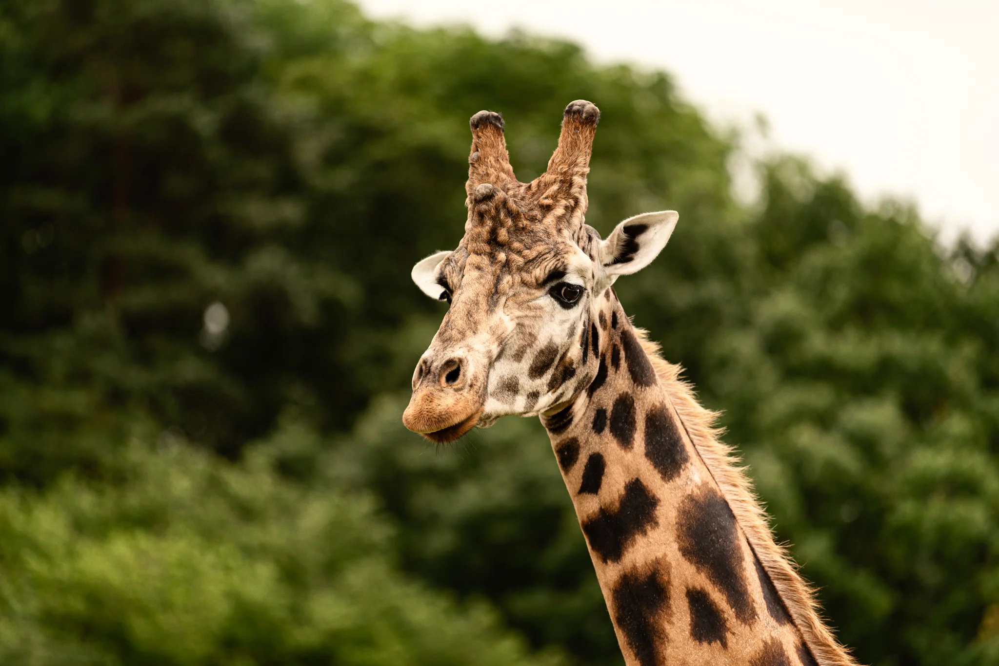 Skipton - Family Holiday-6.jpg