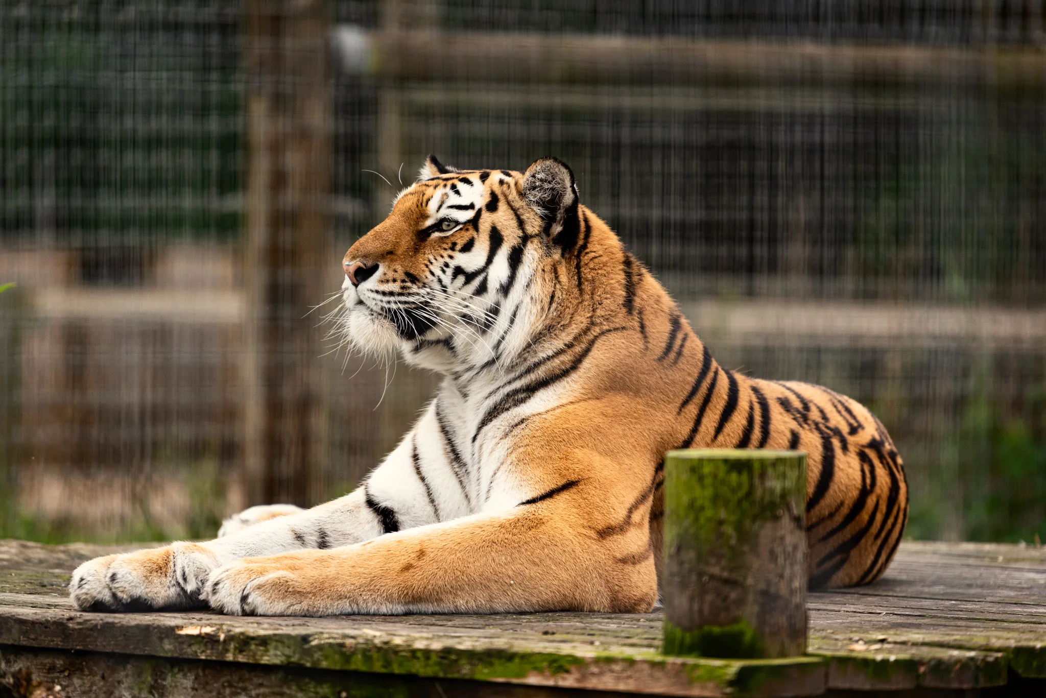 Skipton - Family Holiday-7.jpg