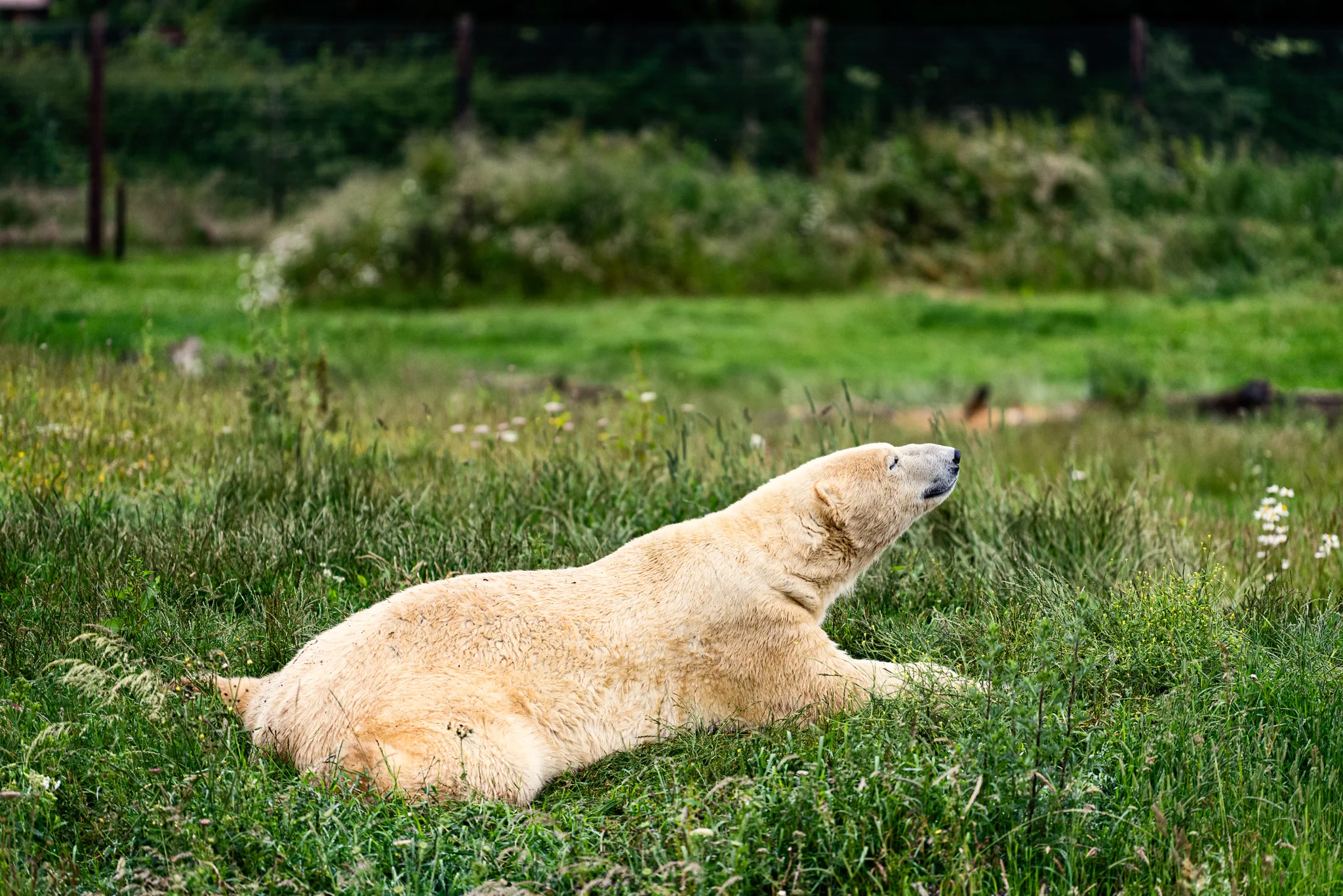 Skipton - Family Holiday-8.jpg