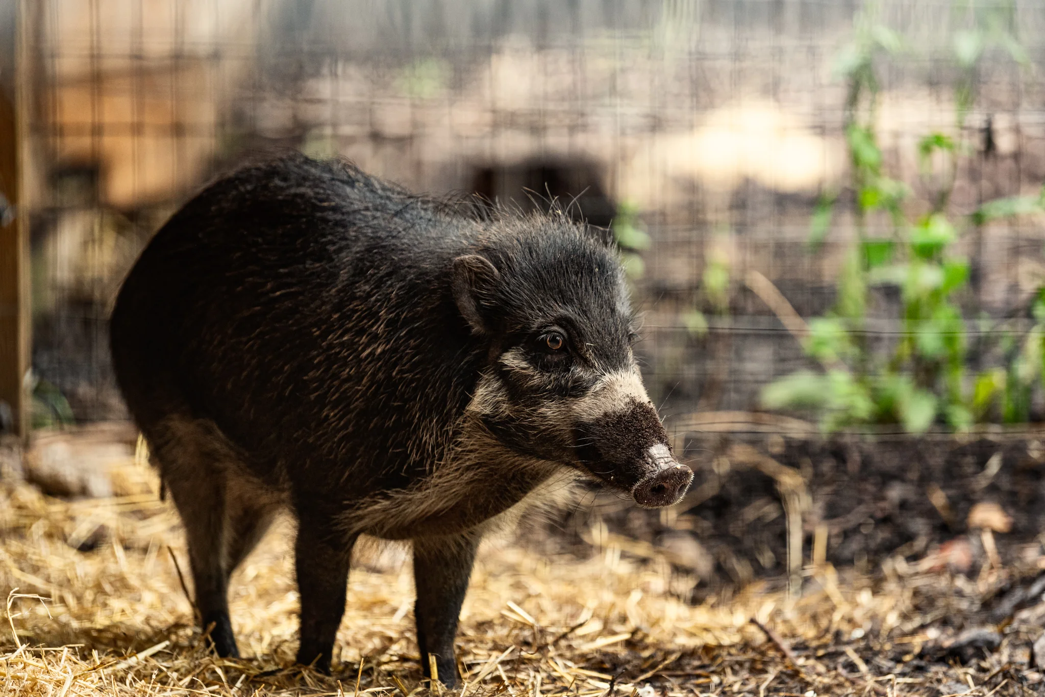 Skipton - Family Holiday-9.jpg