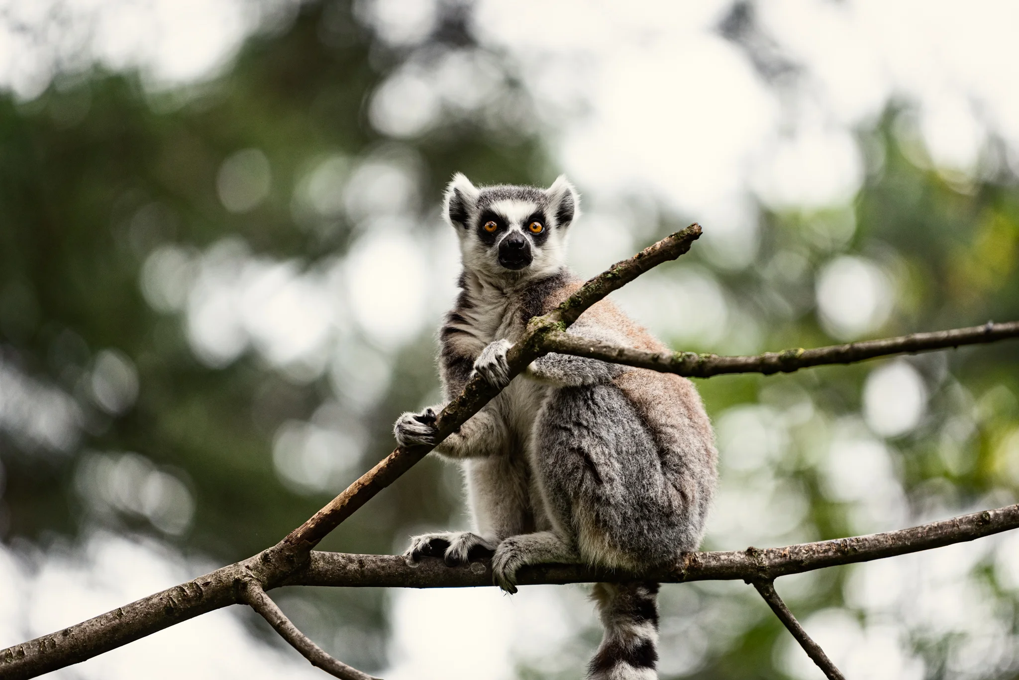 Skipton - Family Holiday-10.jpg