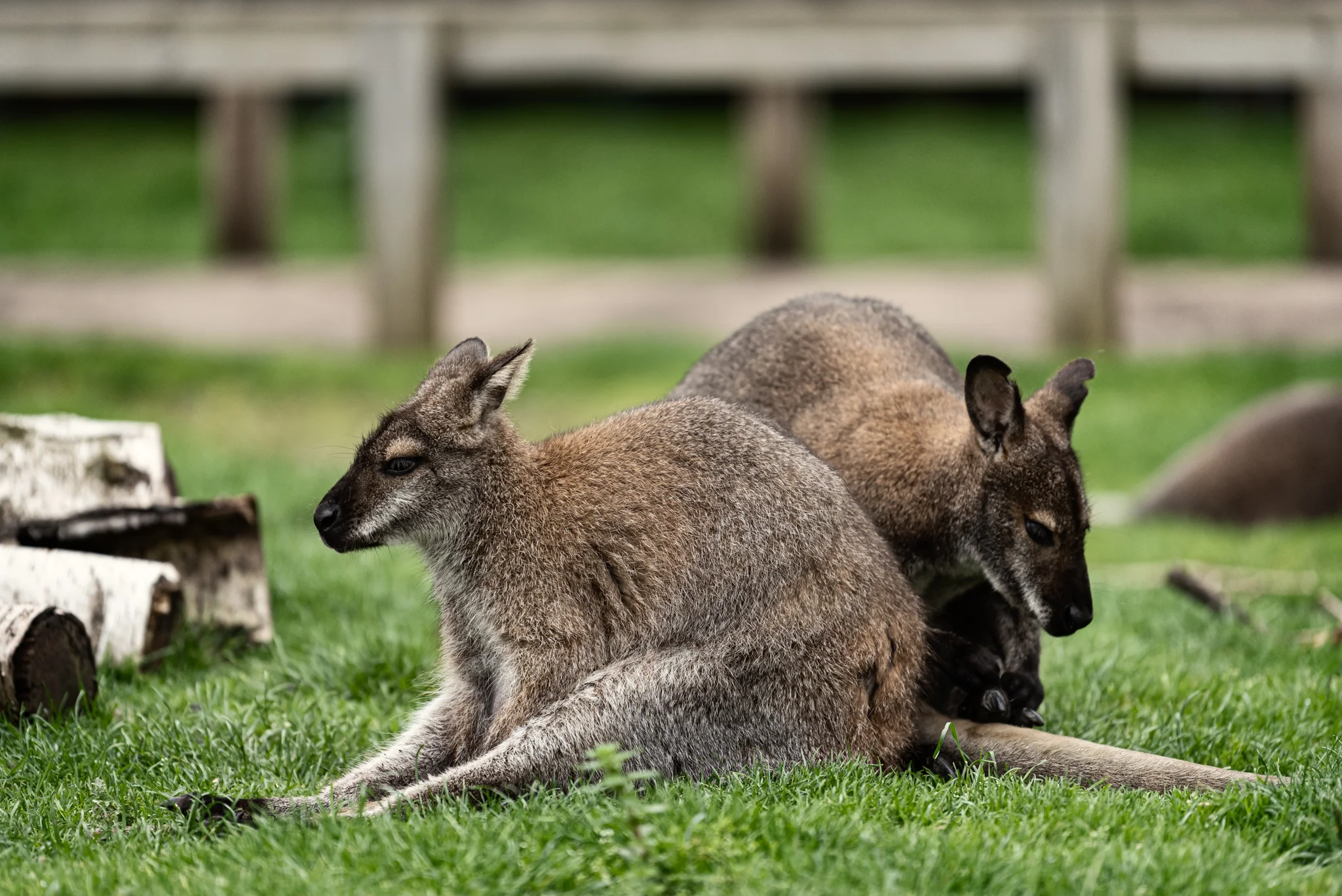 Skipton - Family Holiday-11.jpg