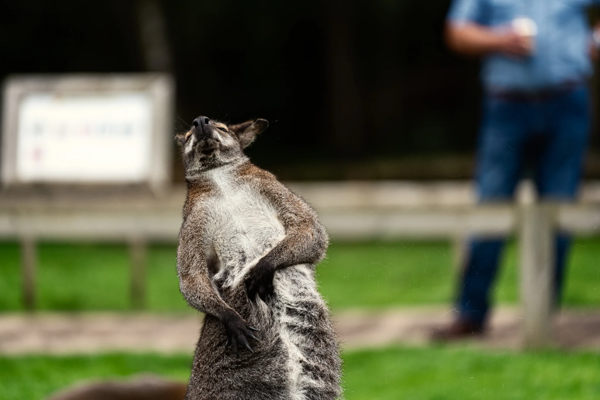 Skipton - Family Holiday-12.jpg