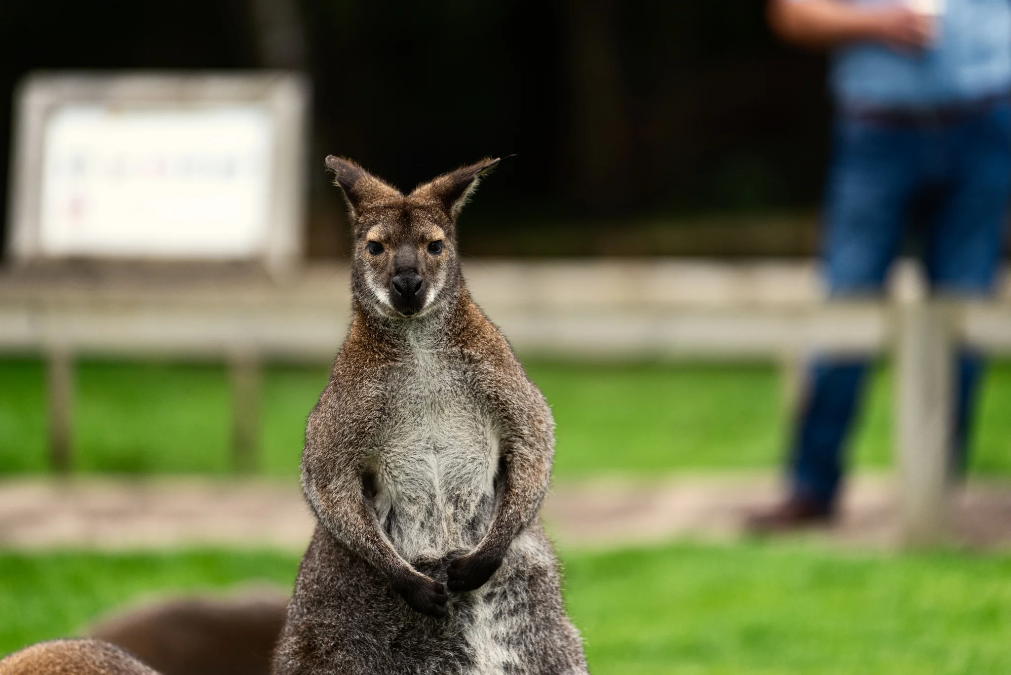 Skipton - Family Holiday-13.jpg