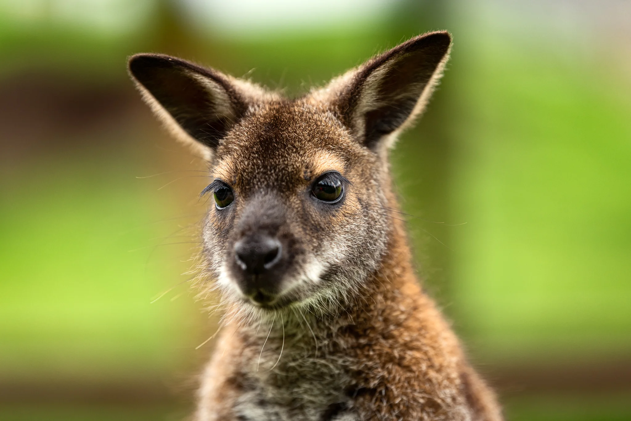 Skipton - Family Holiday-14.jpg