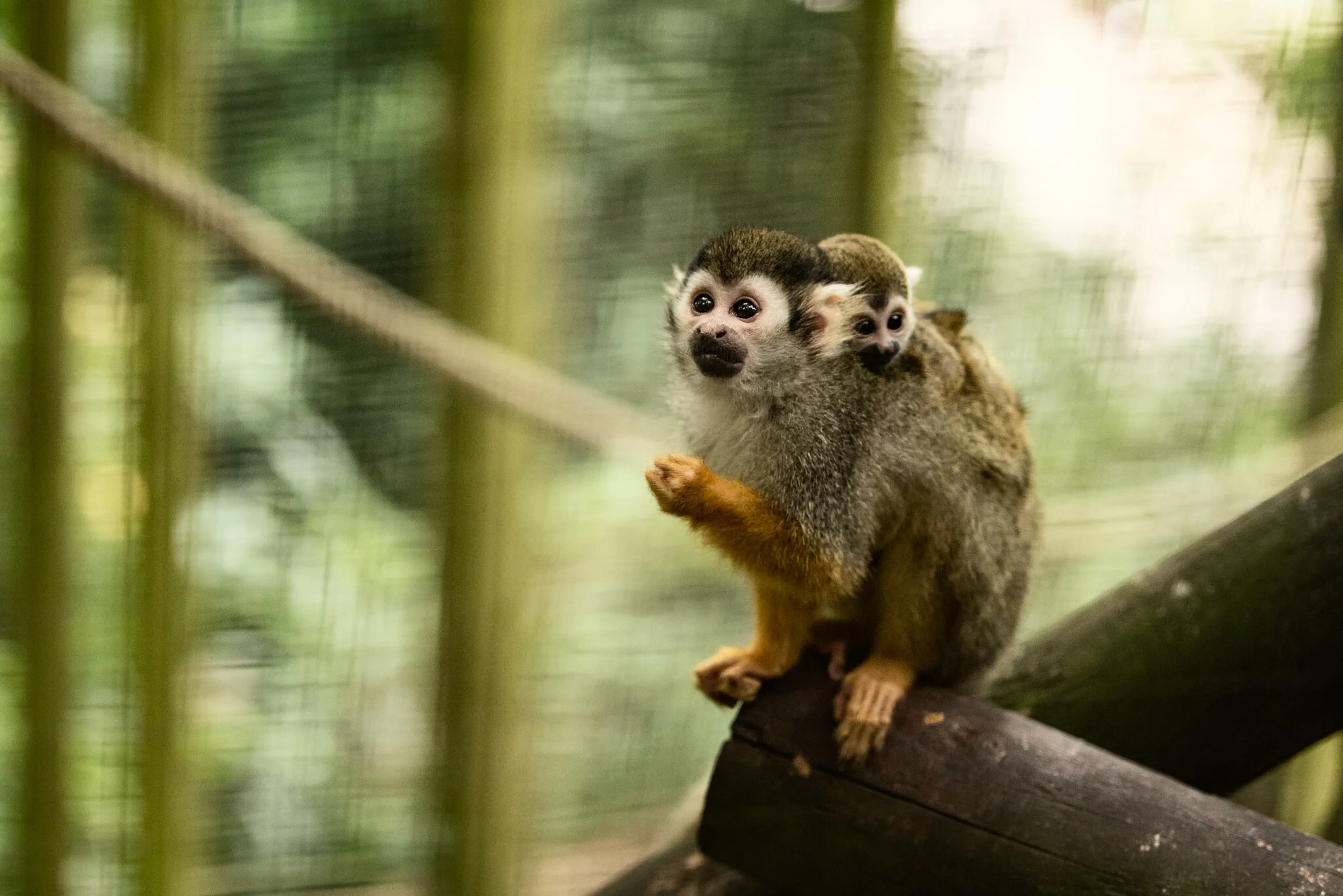 Family Holiday (July)-7.jpg