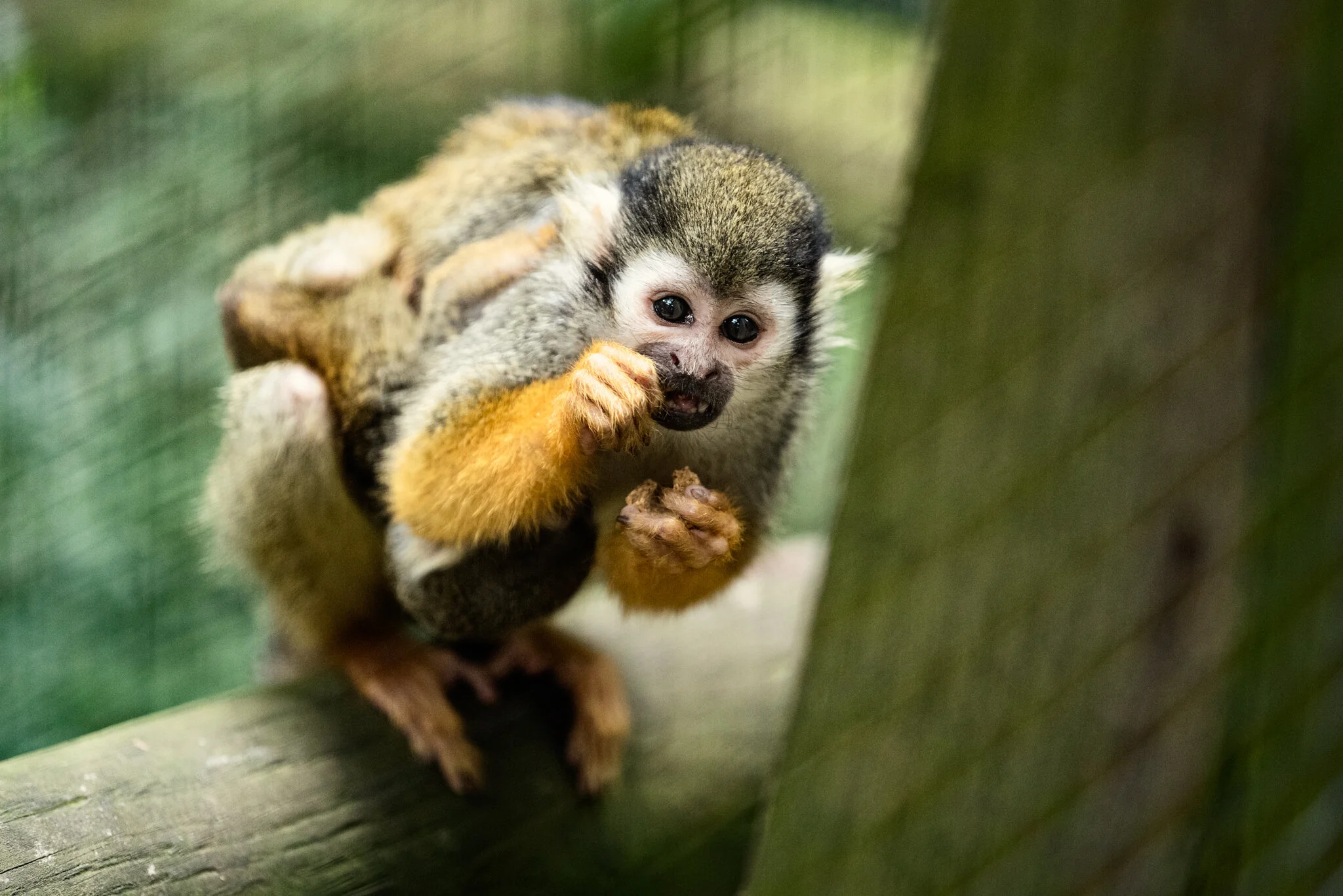 Family Holiday (July)-8.jpg