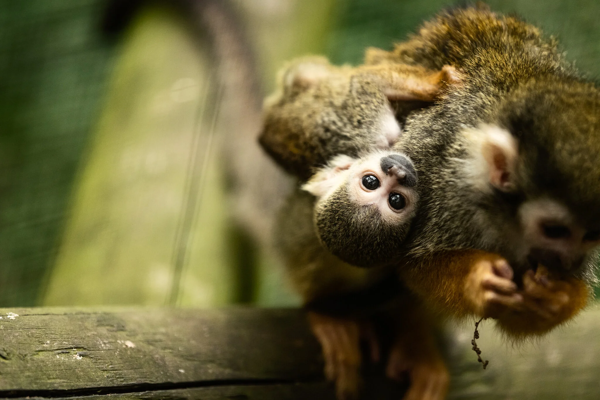 Family Holiday (July)-9.jpg