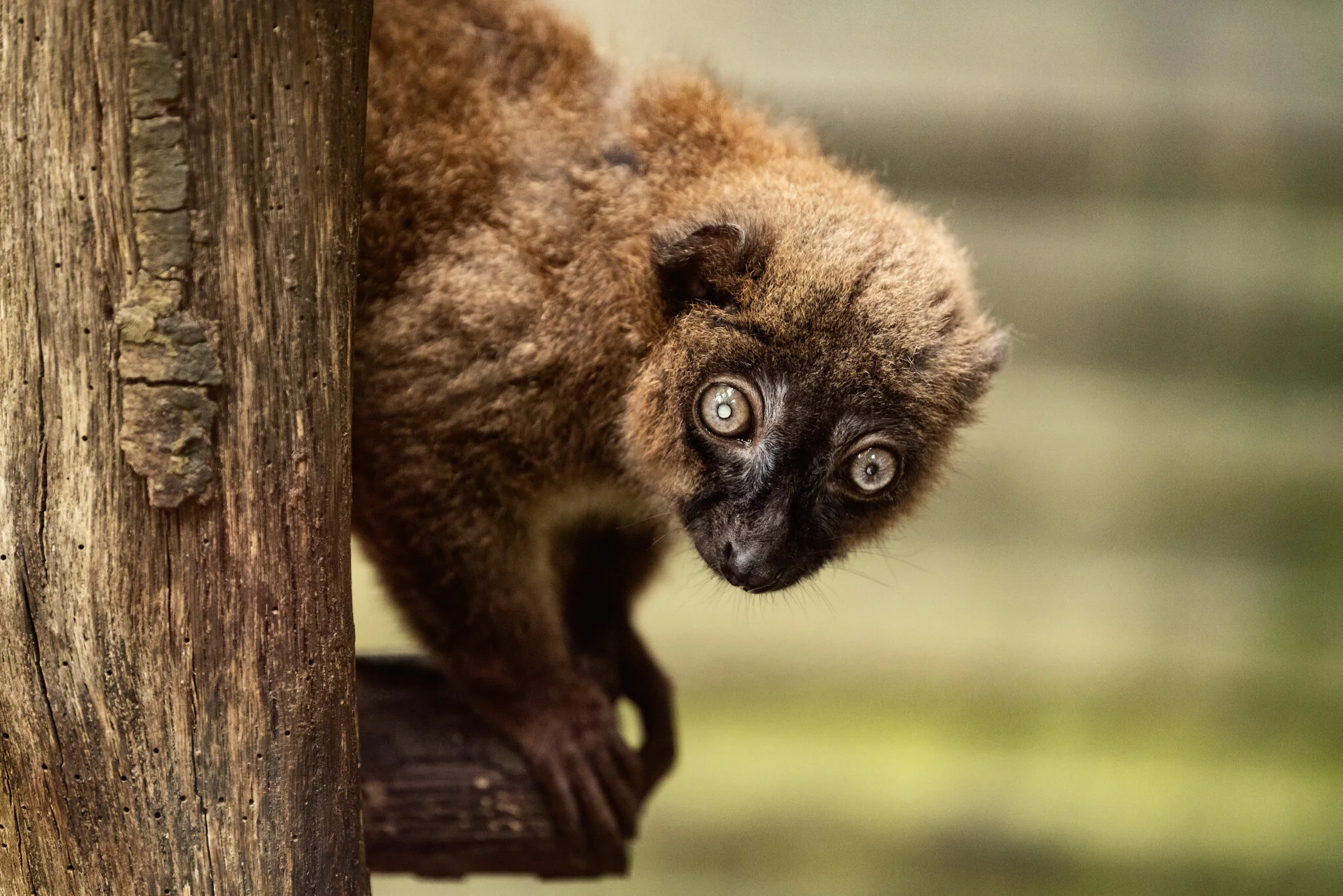 Family Holiday (July)-11.jpg