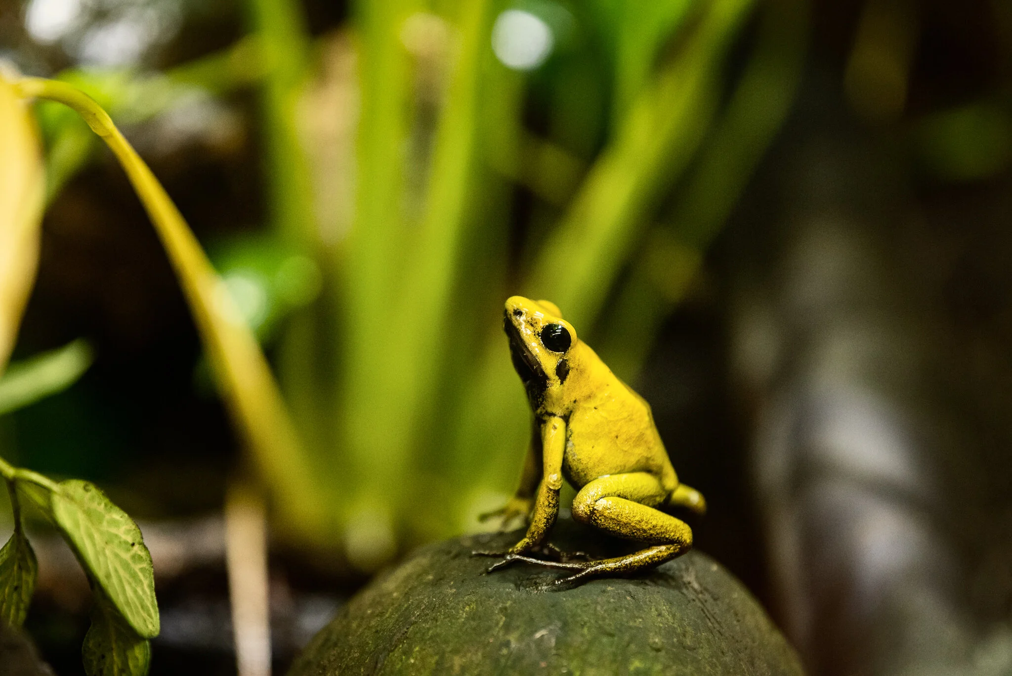 Family Holiday (July)-13.jpg