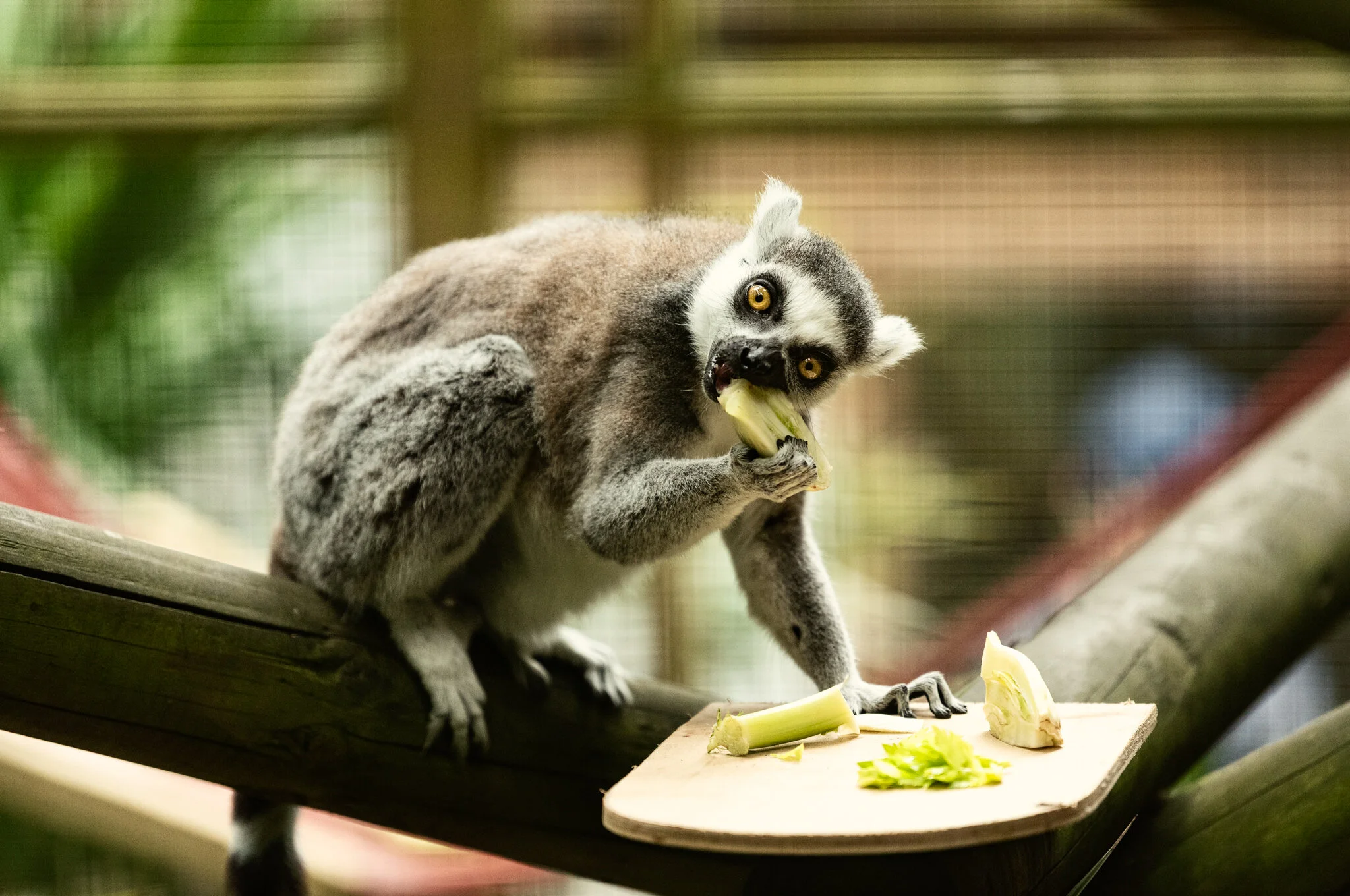 Family Holiday (July)-14.jpg