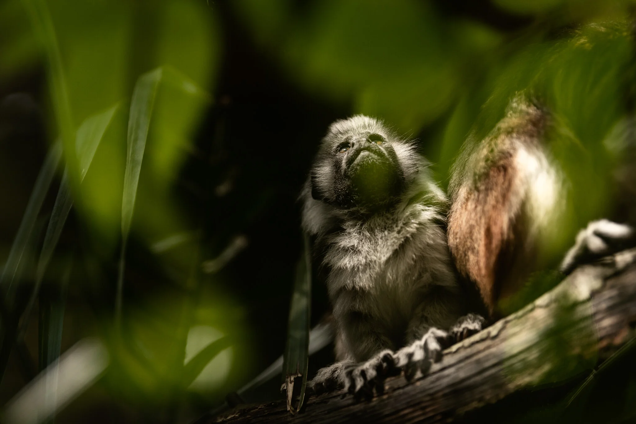 Family Holiday (July)-17.jpg