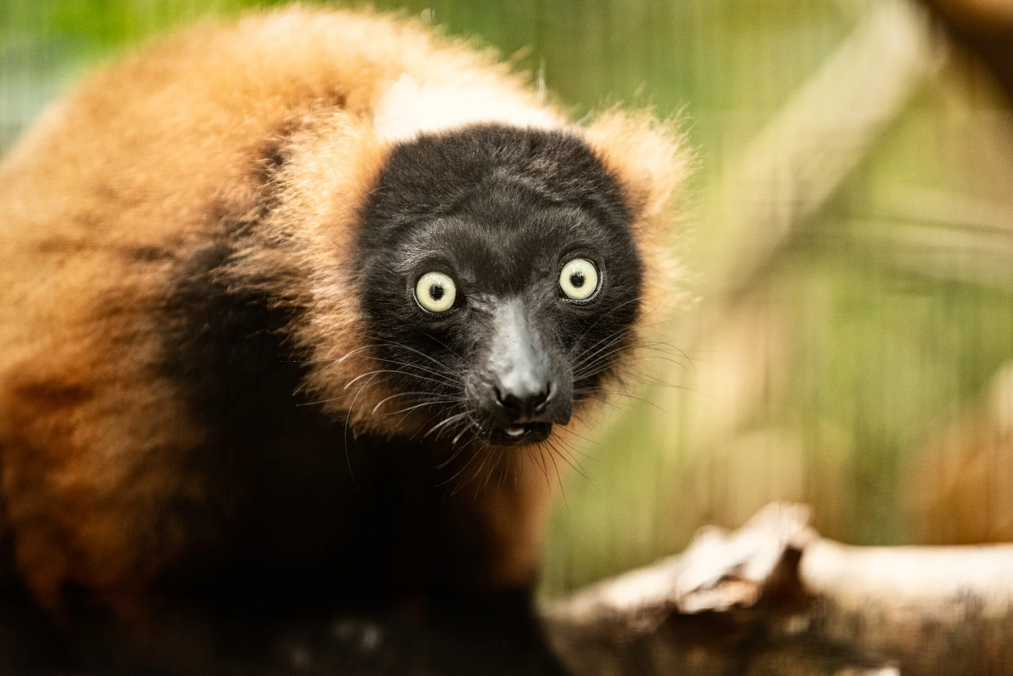 Family Holiday (July)-15.jpg