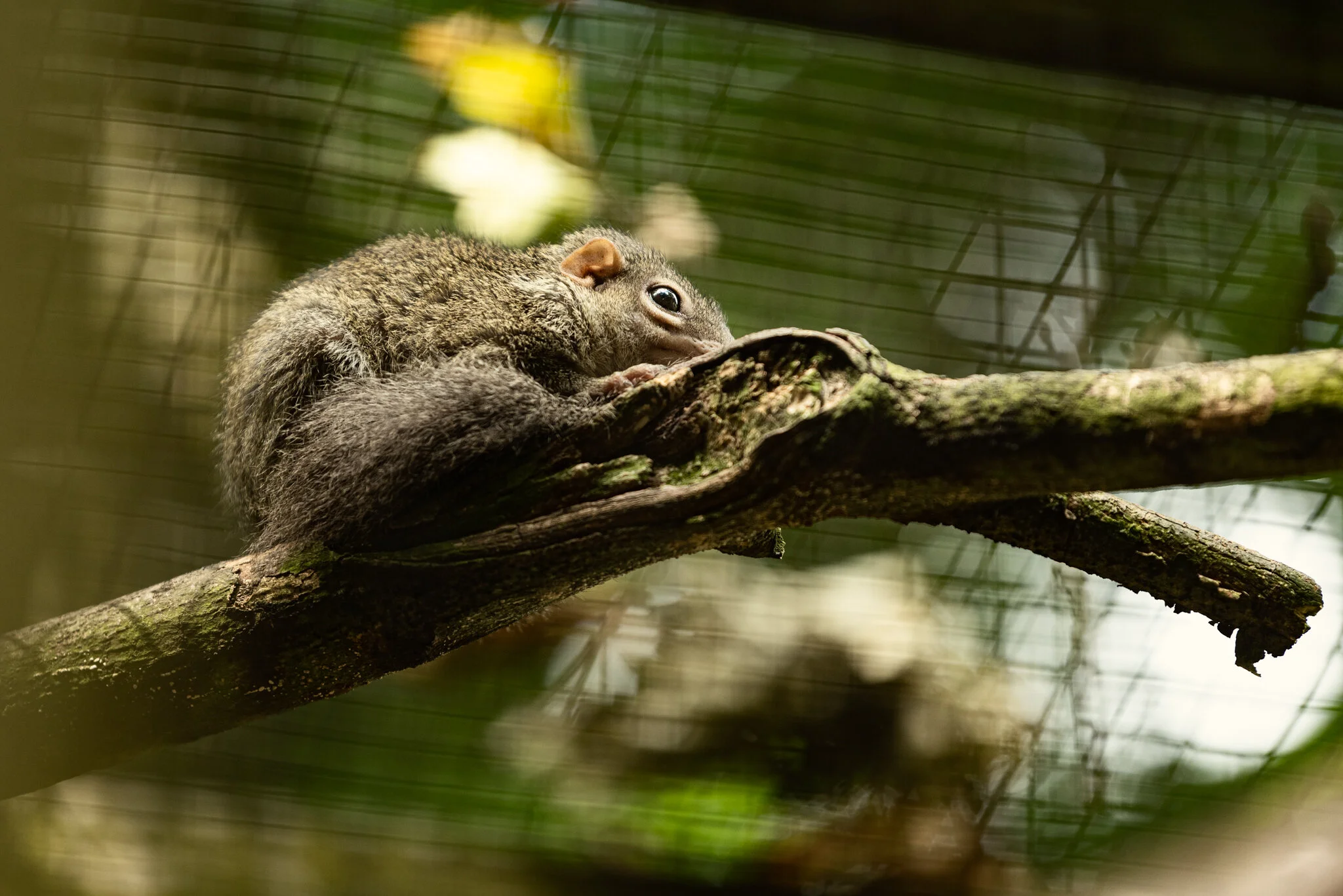 Family Holiday (July)-18.jpg