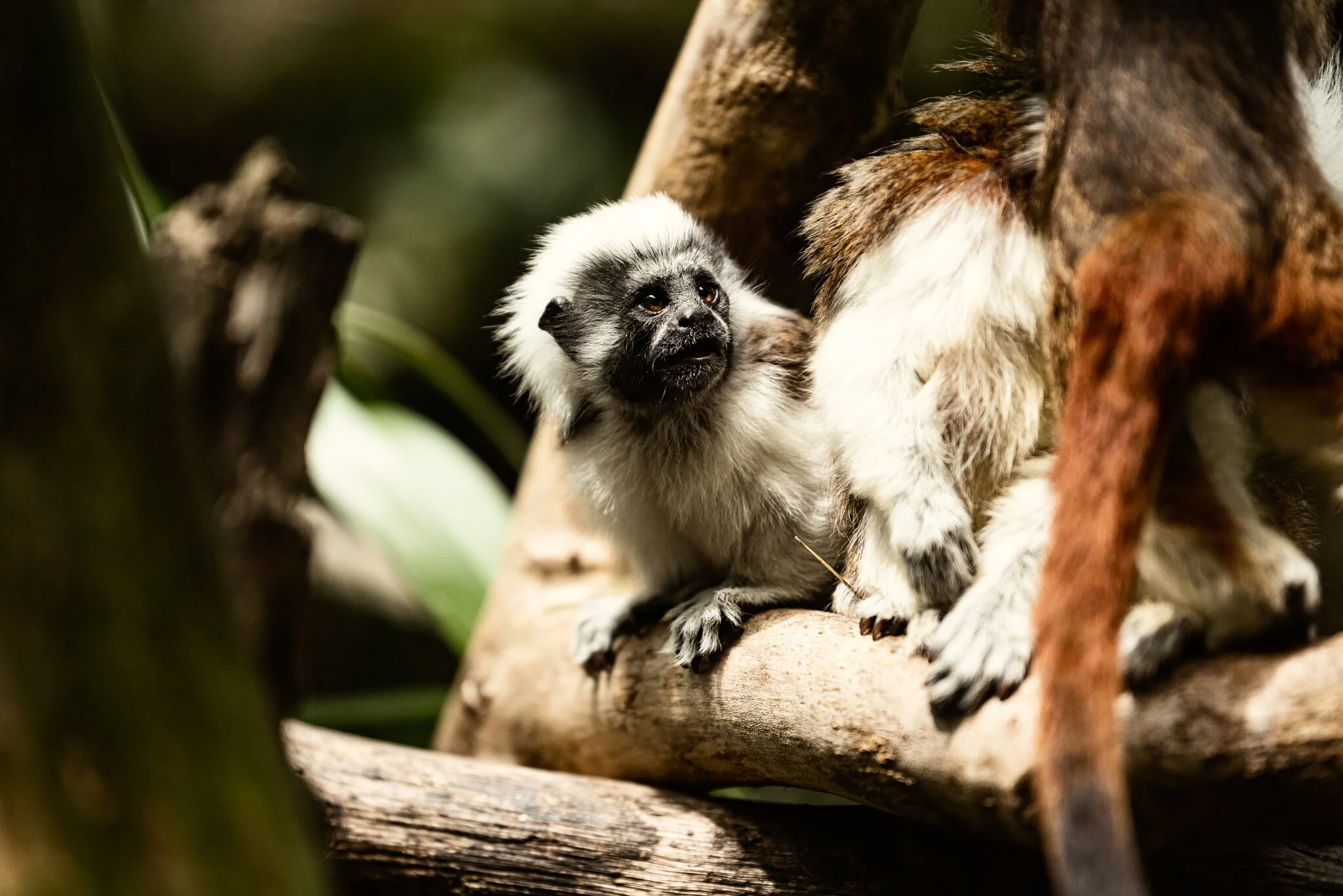 Family Holiday (July)-19.jpg