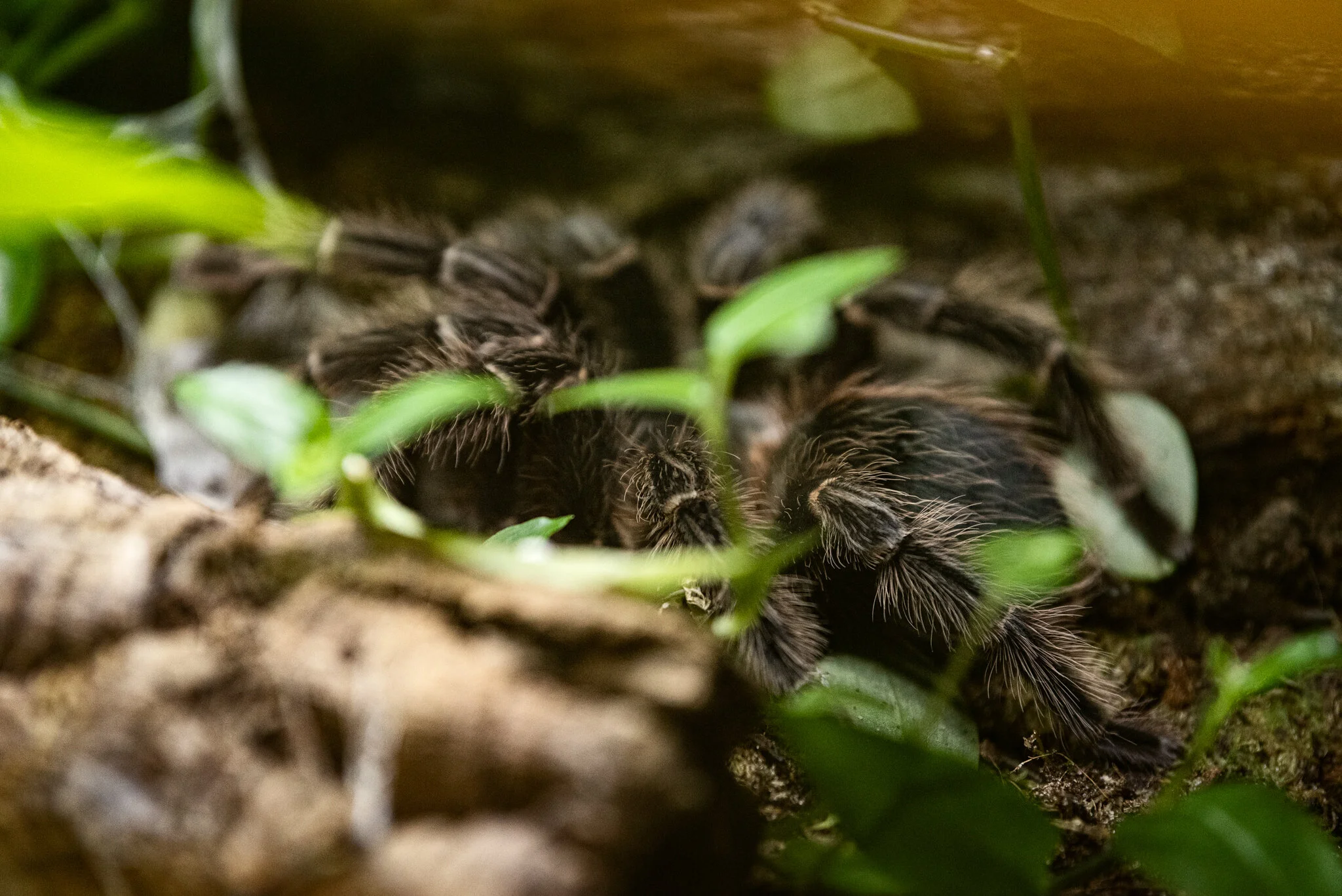 Family Holiday (July)-20.jpg