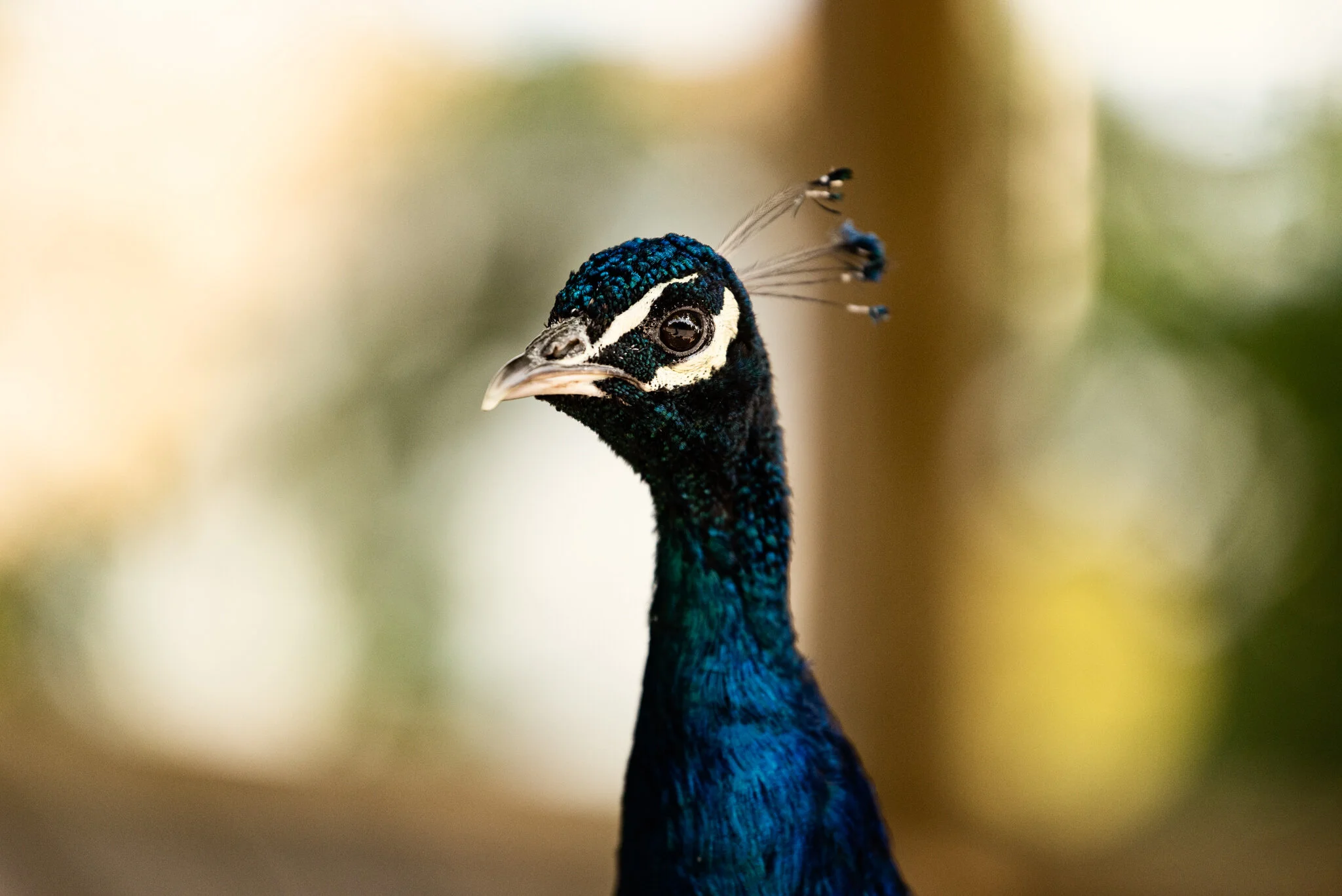 Dudley Zoo (Website)-16.jpg