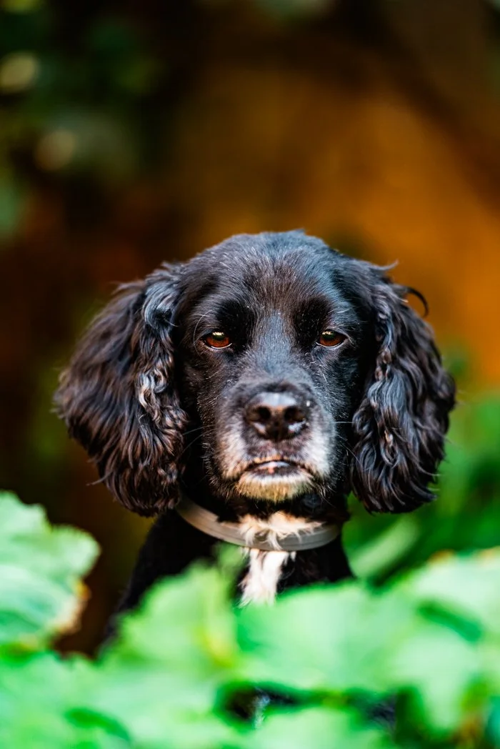 Jake_Garden (2 of 3).jpg