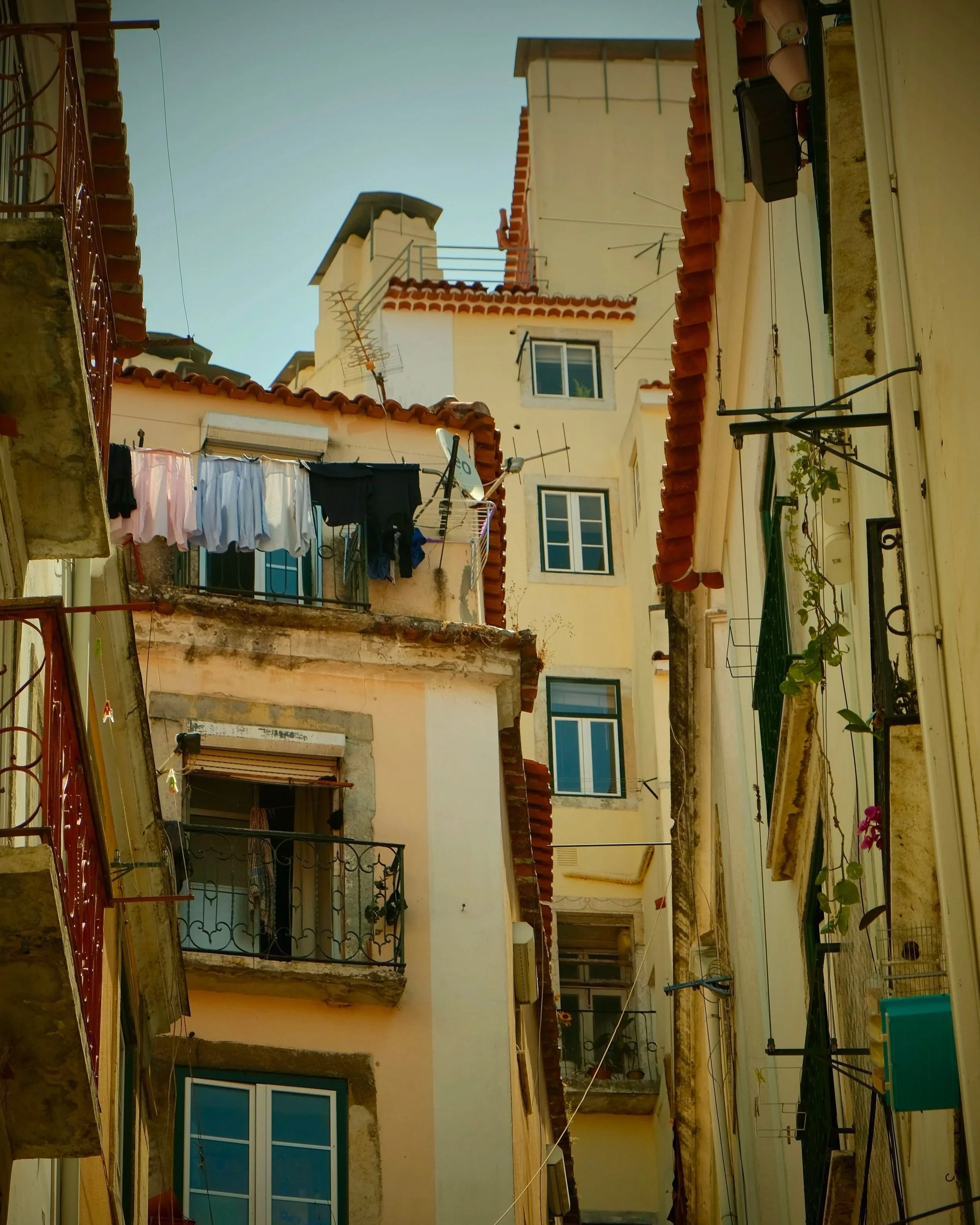DSCF2944.jpg