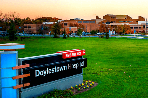 Fiber: The Unsung Hero of Gut Health?