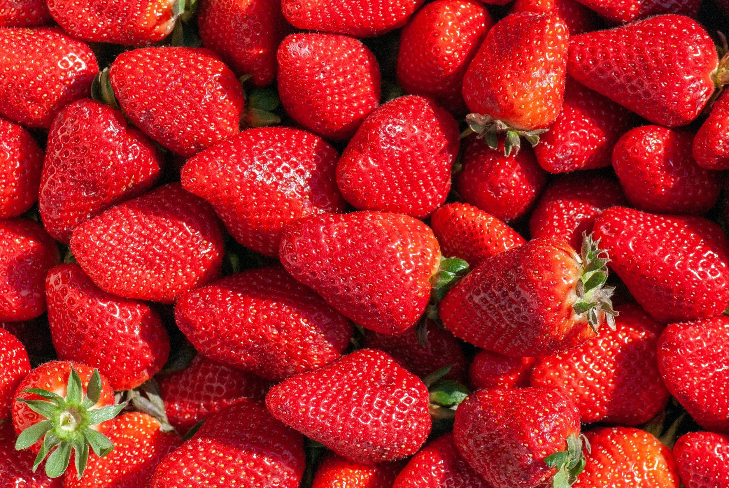 Scout Troop 24's 57th Annual Strawberry Festival