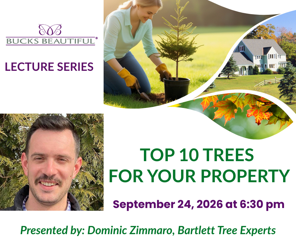 Bucks Beautiful Lecture Series Returns with “Top 10 Trees for Your Property”