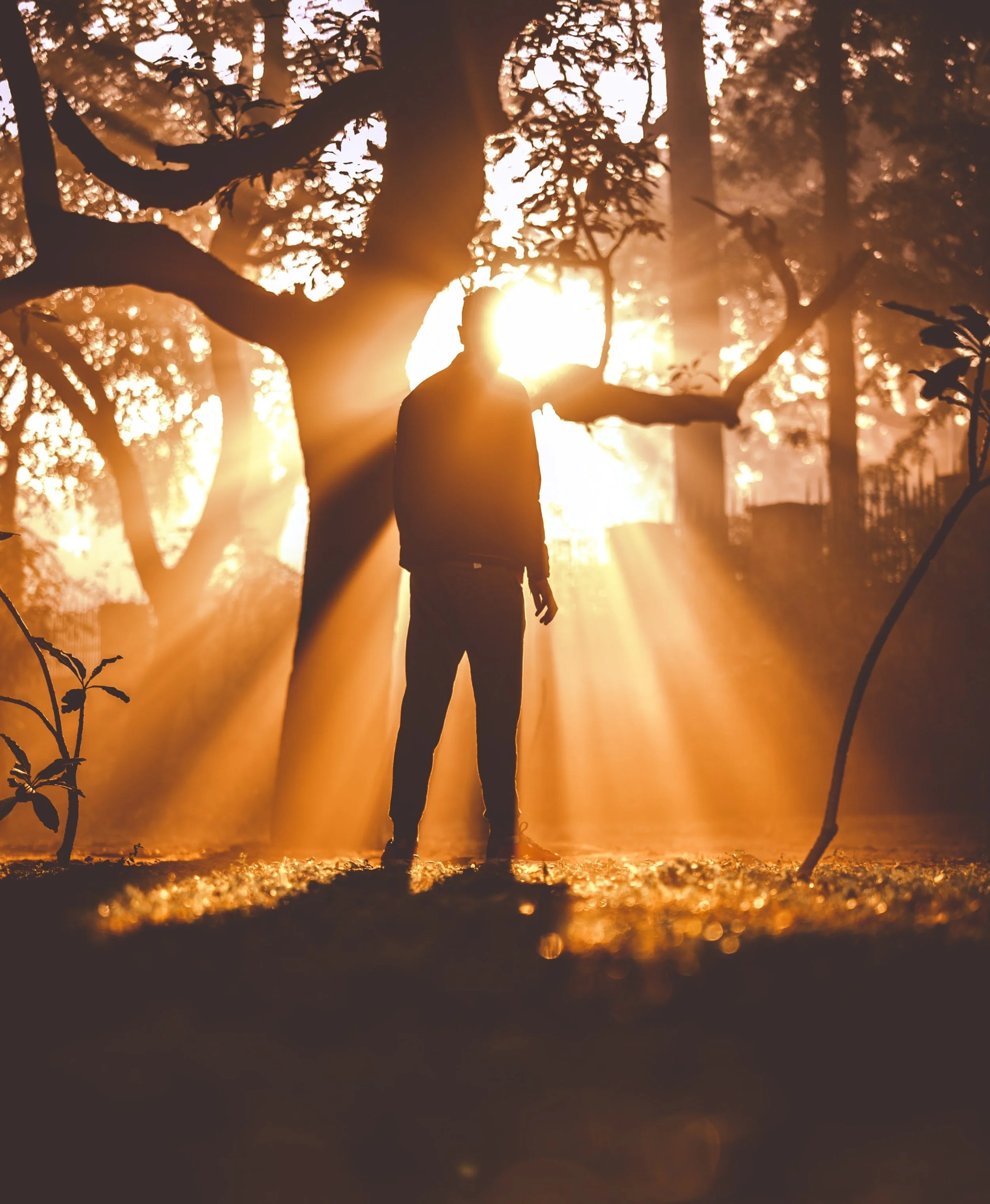 Light When Our Life's Path is Dark and Crooked