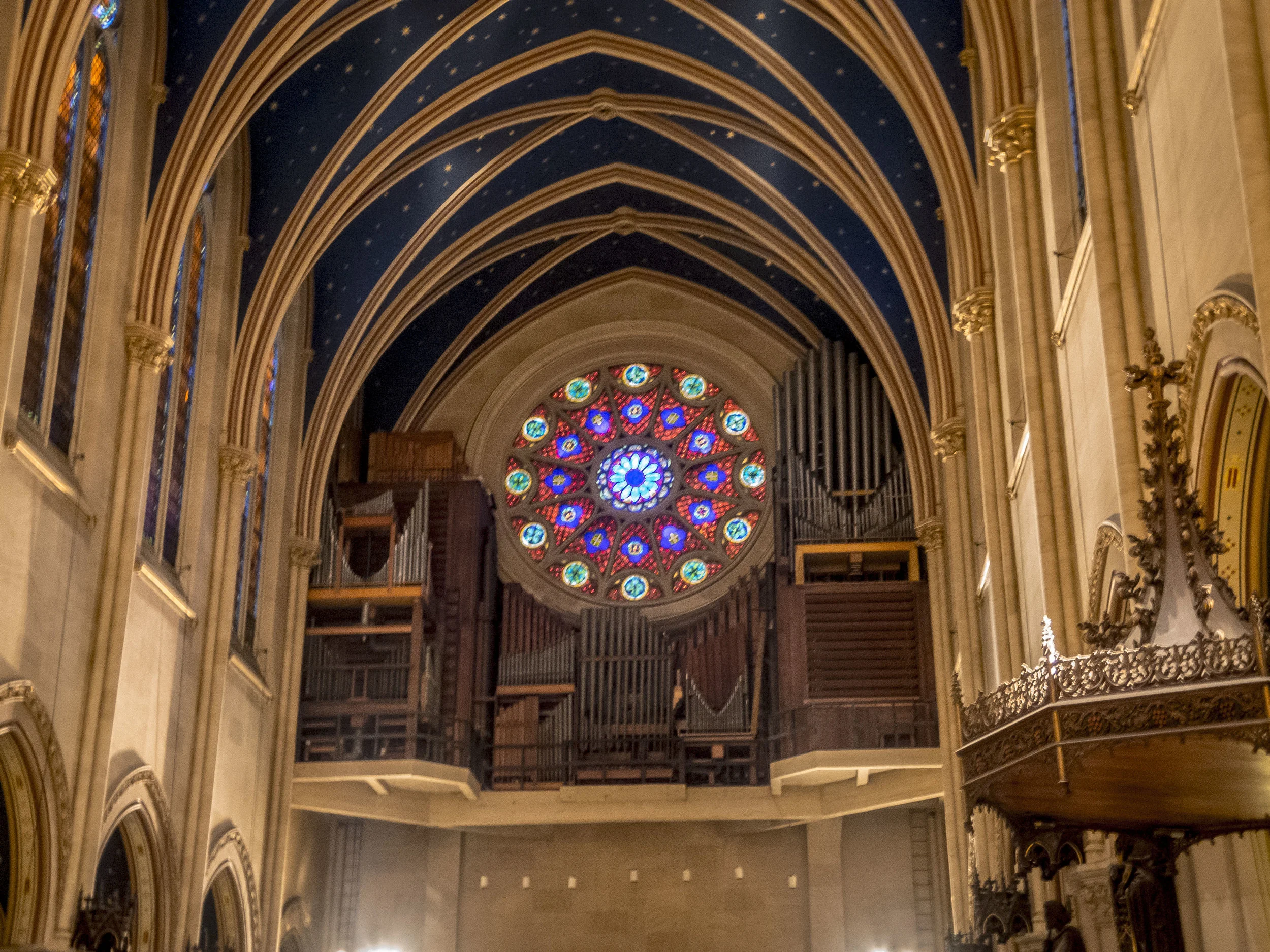 Photo by Sister Monica Clare