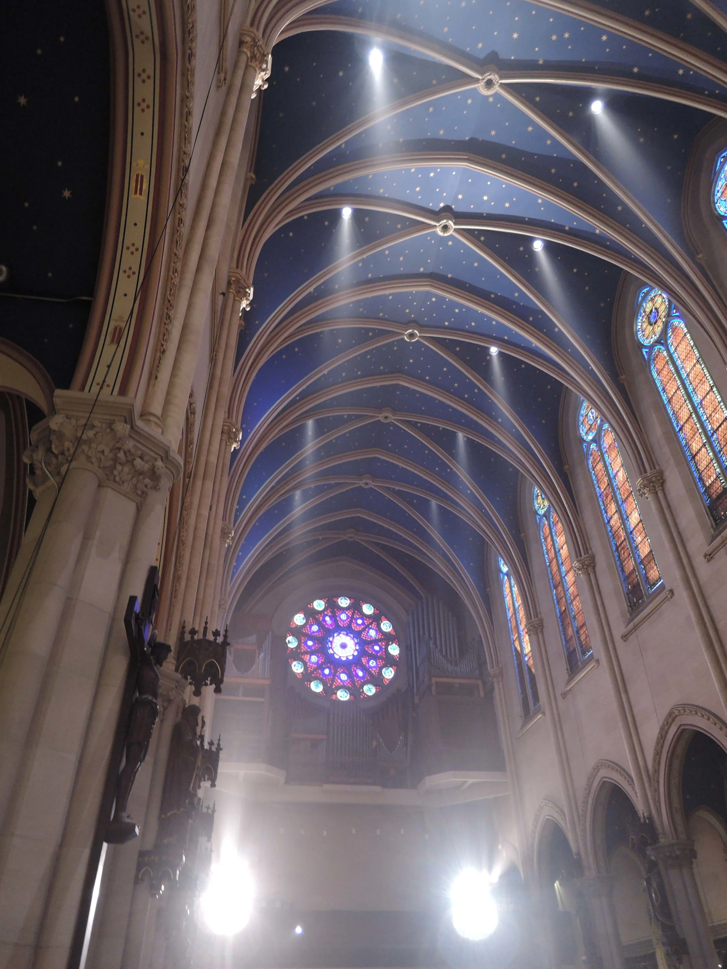 The Nave Ceiling and the Rose Window