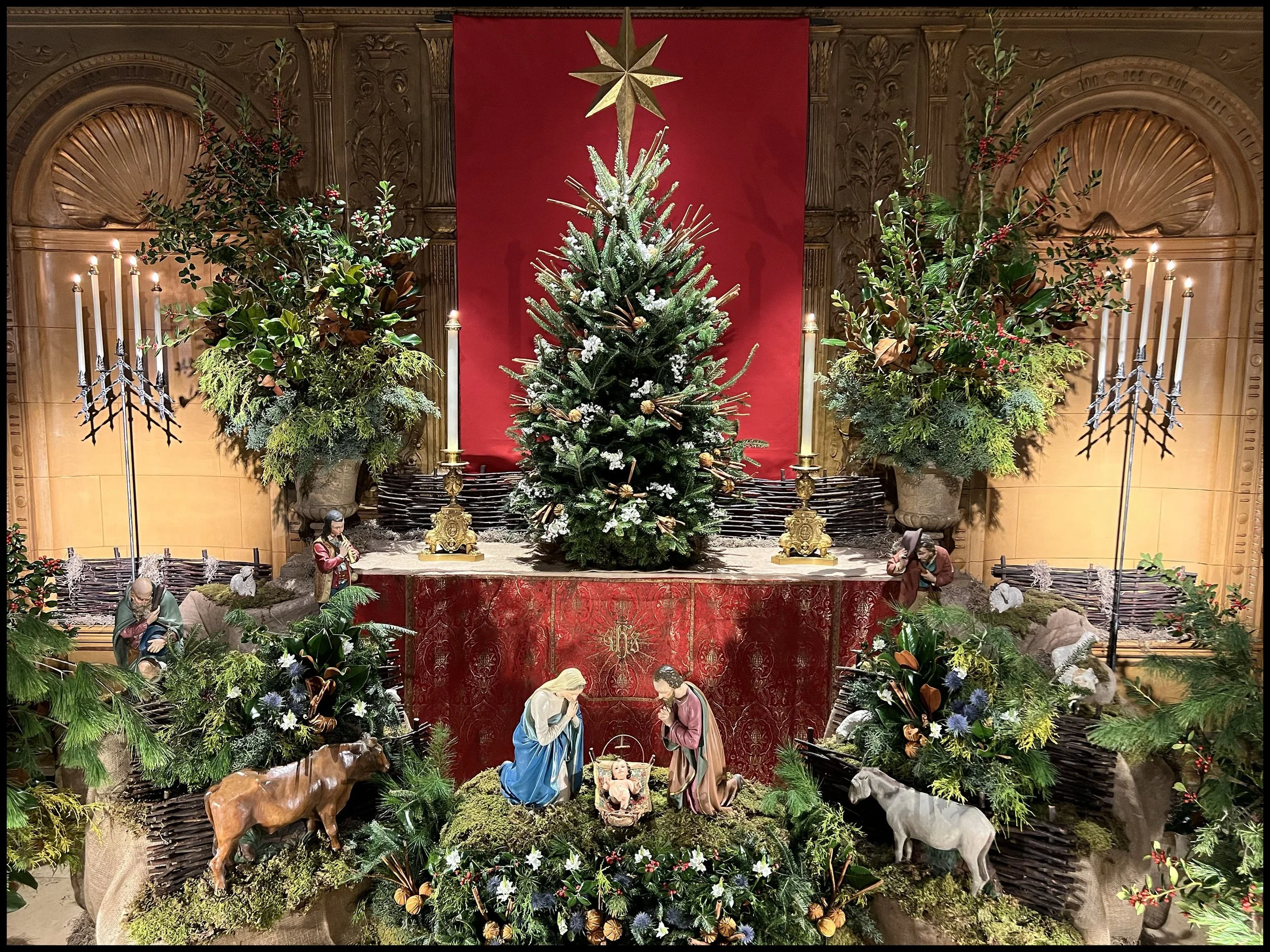   Photo:   Brendon Hunter  