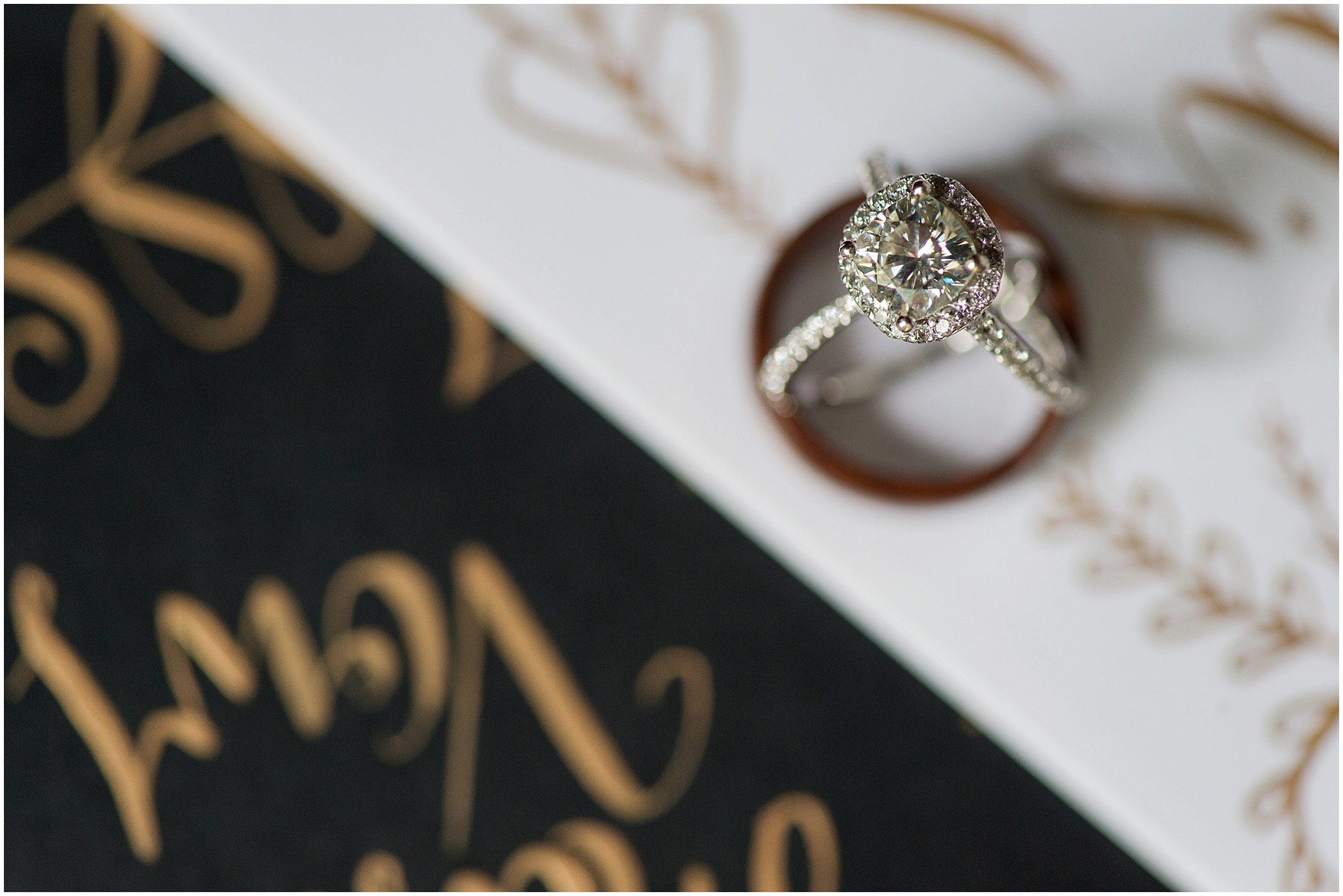 Hannah Leigh Photography_1539.jpg