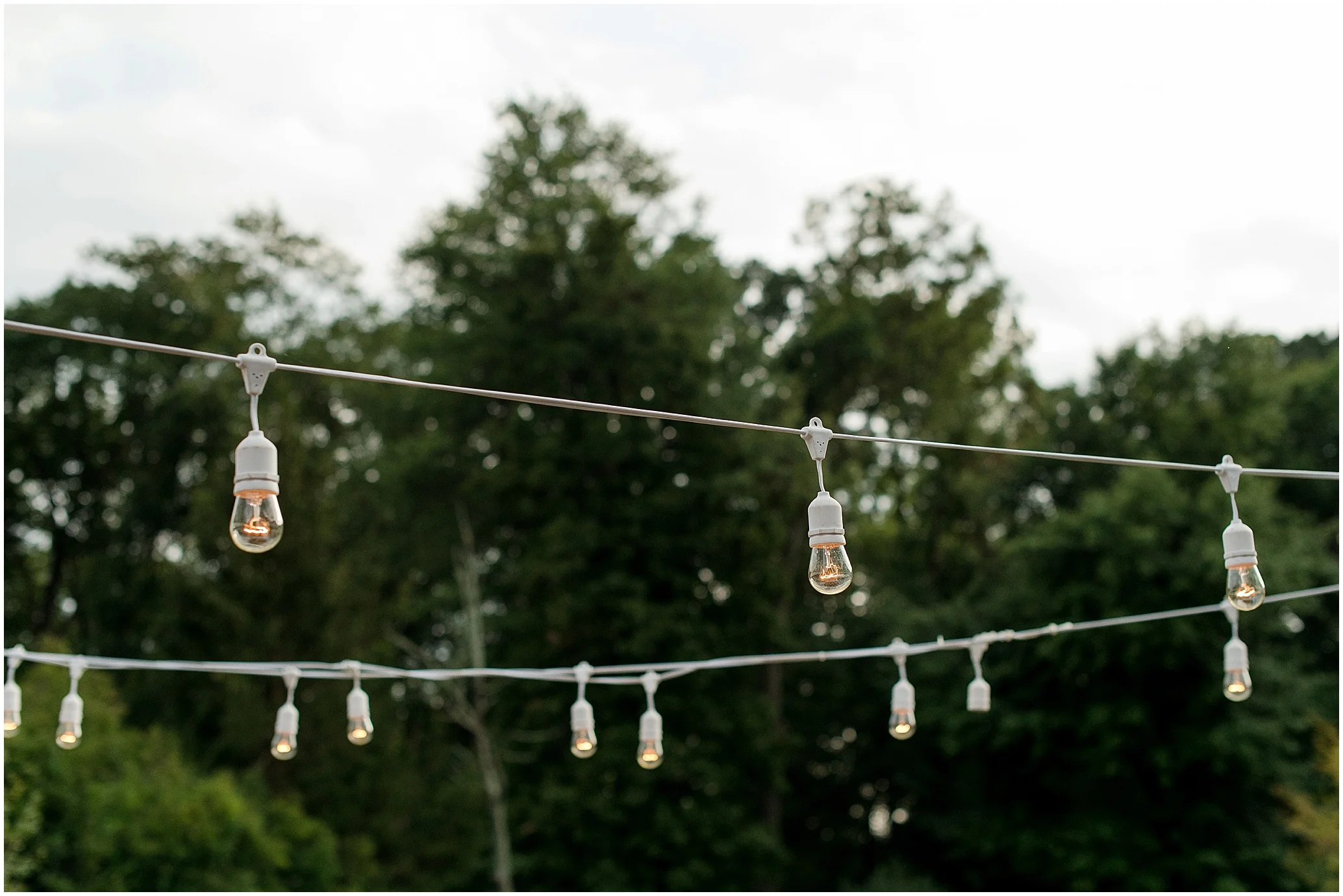Hannah Leigh Photography_1570.jpg