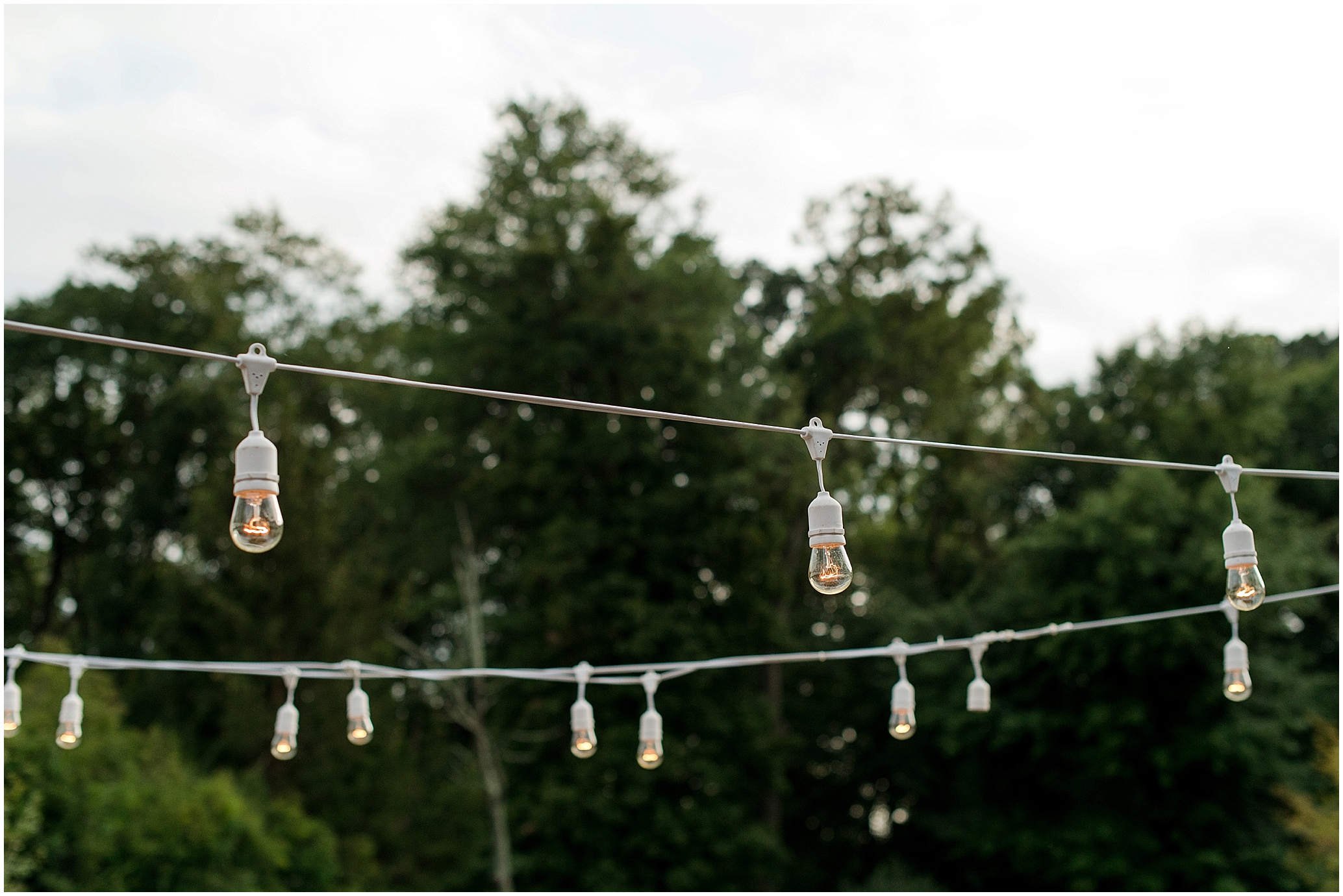 Hannah Leigh Photography_1570.jpg