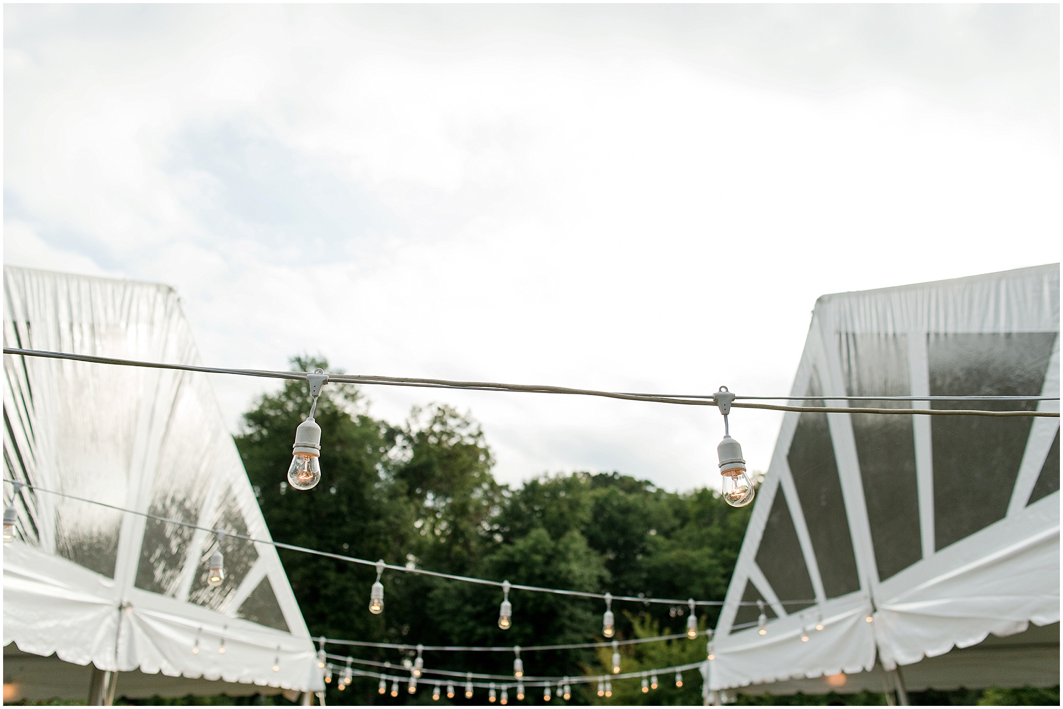 Hannah Leigh Photography_1571.jpg