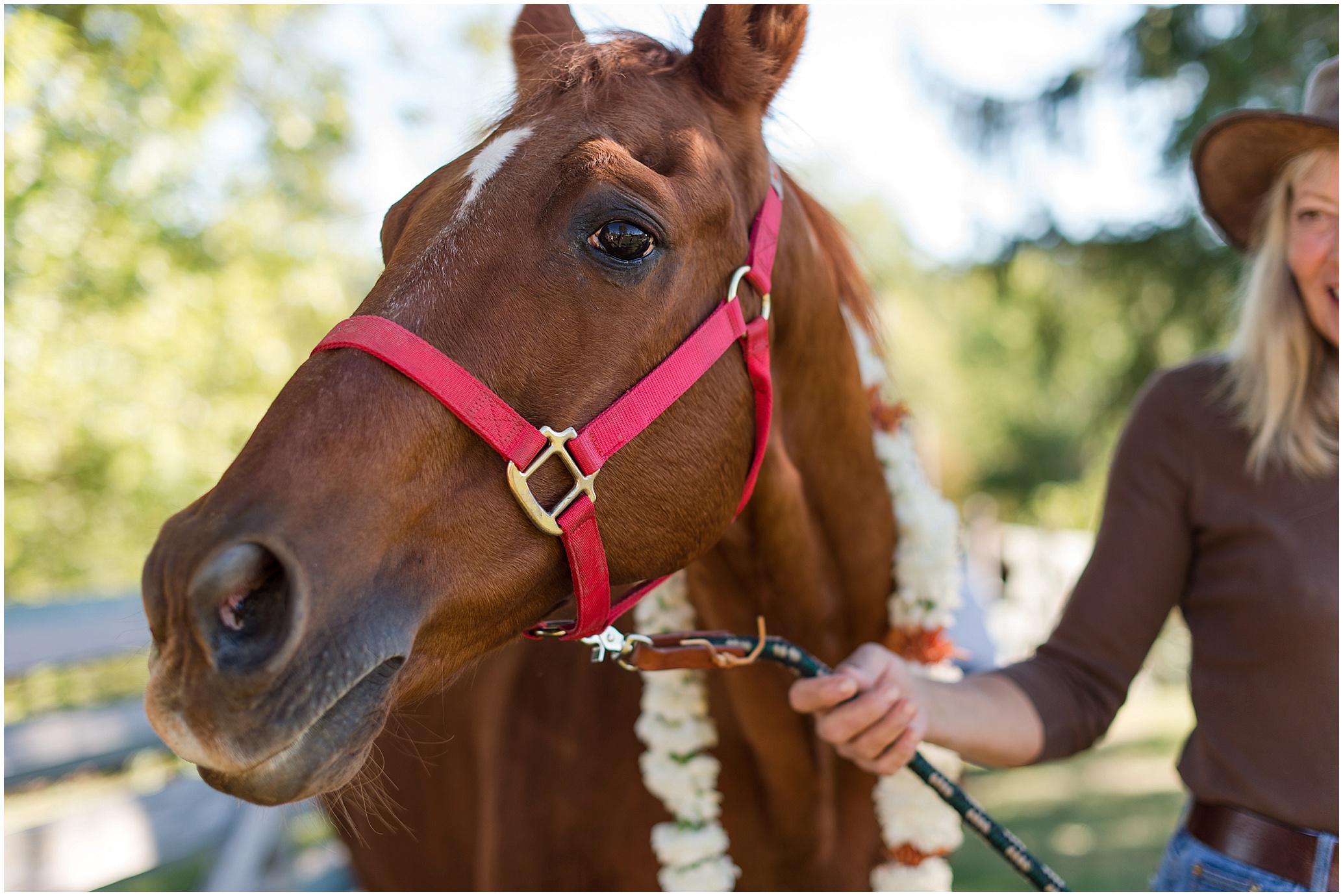 Hannah Leigh Photography Blue Hound Farm Wedding_1667.jpg