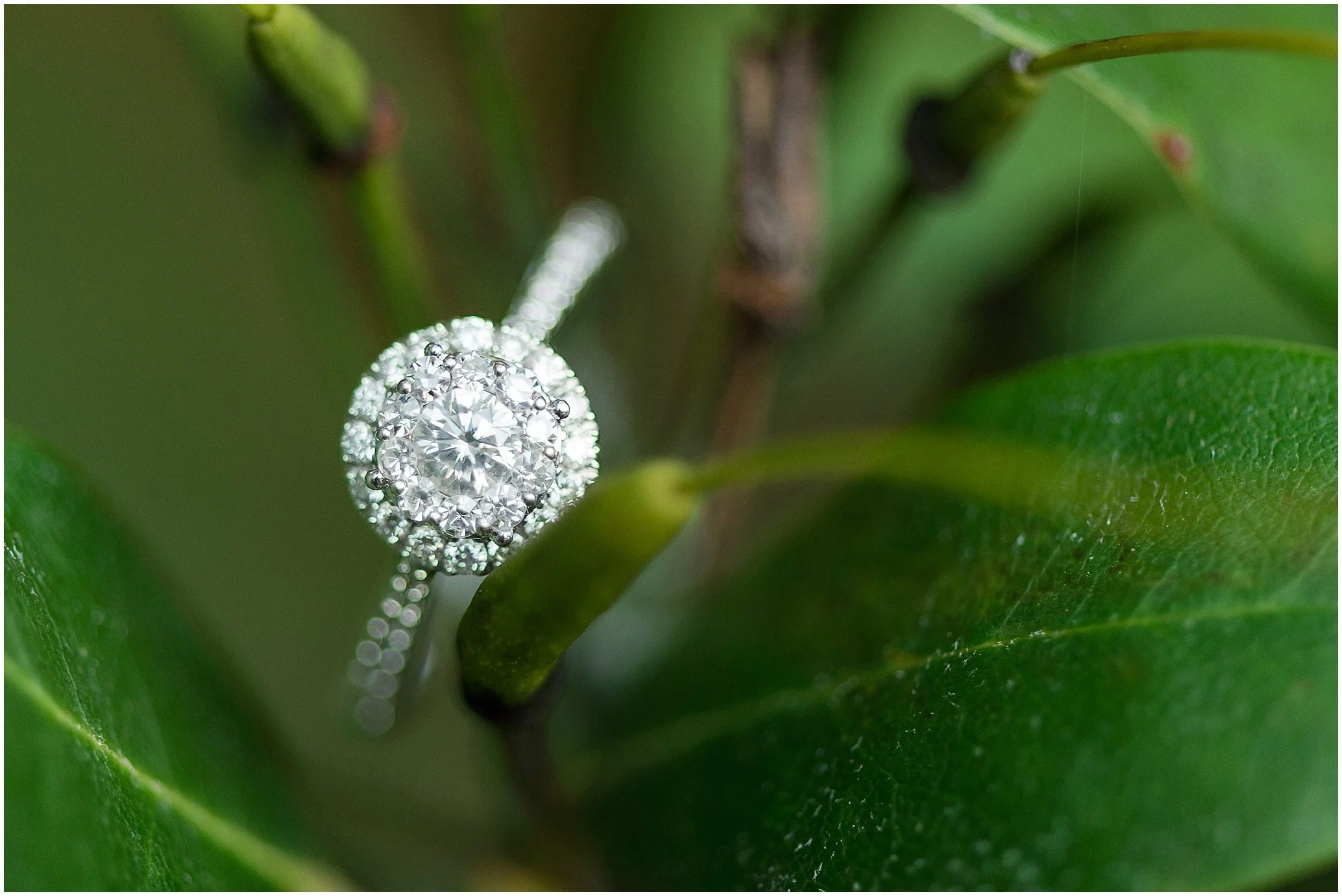 Hannah Leigh Photography Longwood Gardens Engagement Session_1958.jpg