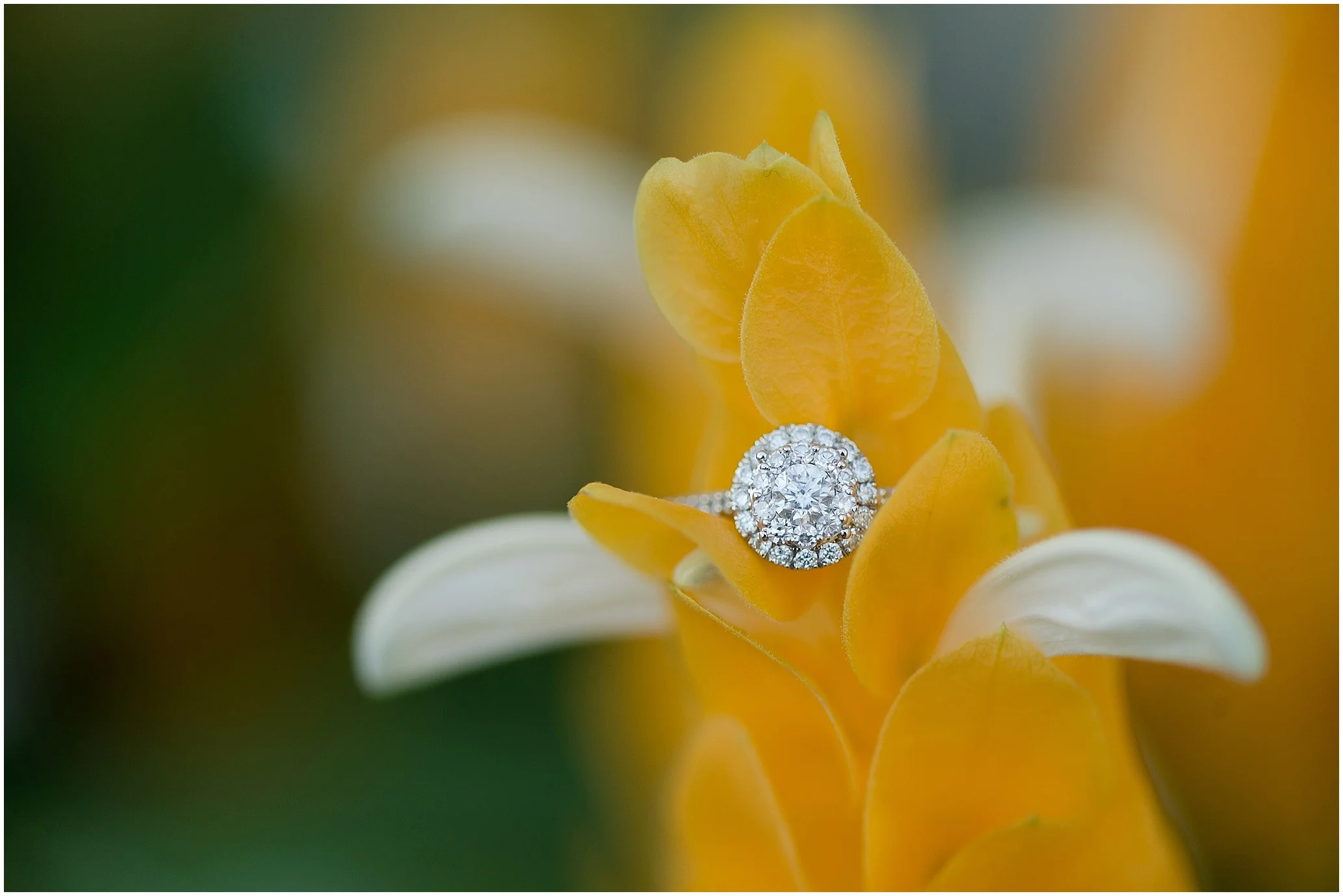 Hannah Leigh Photography Longwood Gardens Engagement Session_1937.jpg