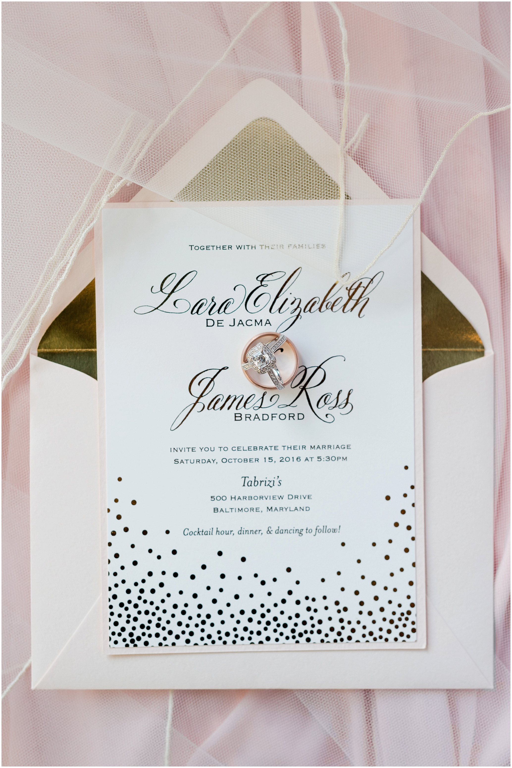 Hannah Leigh Photography Tabrizis Baltimore Wedding_2195.jpg